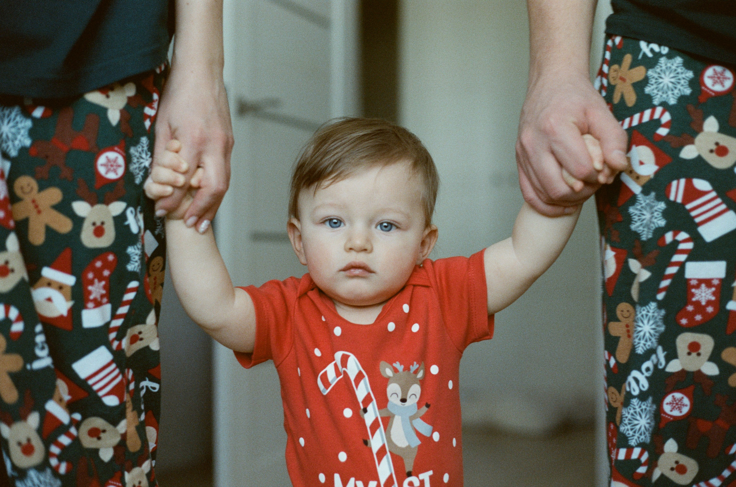 Даня, Алёна, Лёва и таксы. Настя Оленченко, портретный/семейный фотограф на цифру и плёнку Москва