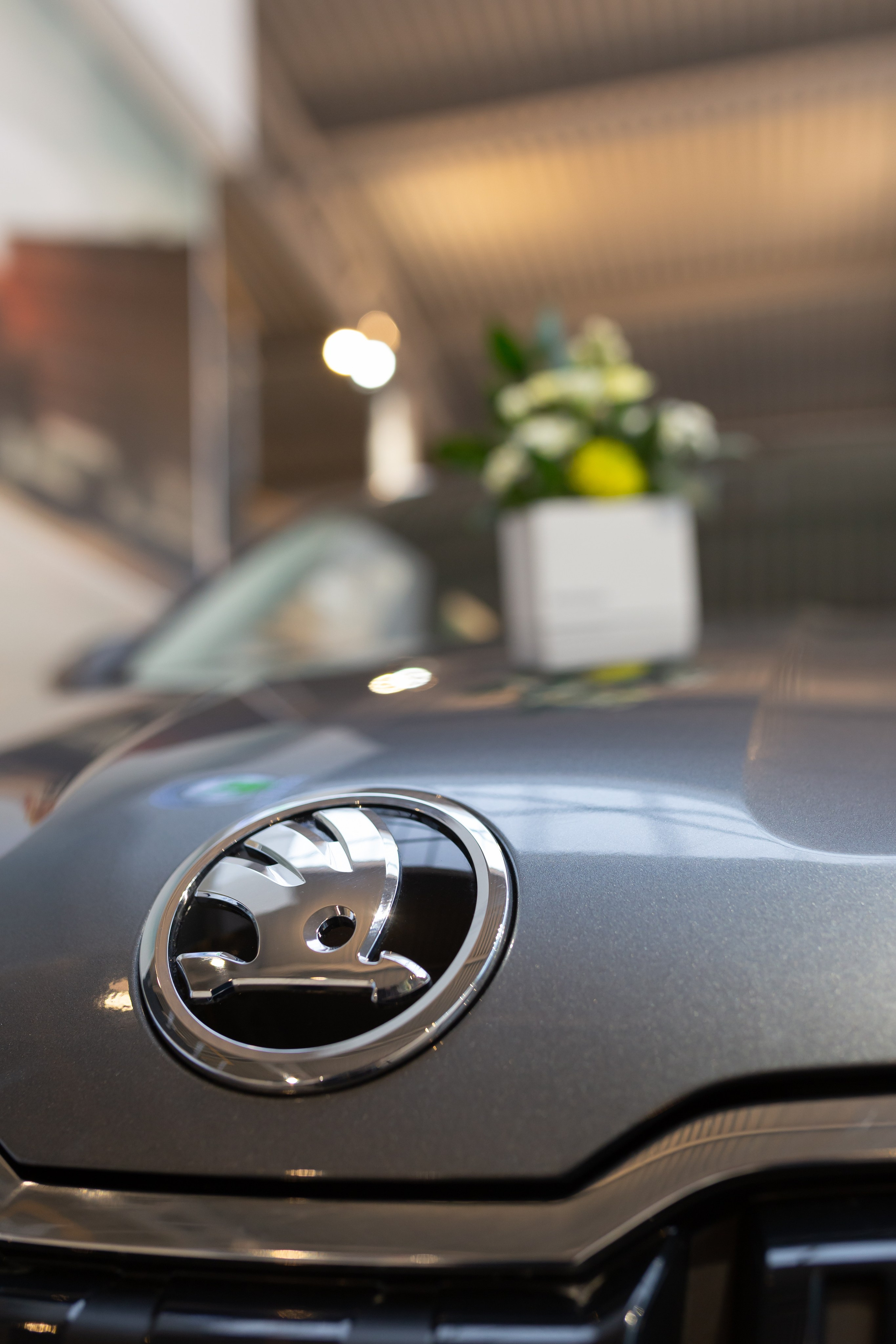 Презентация Škoda Karoq. Свадебный и Репортажный фотограф в Санкт-Петербурге