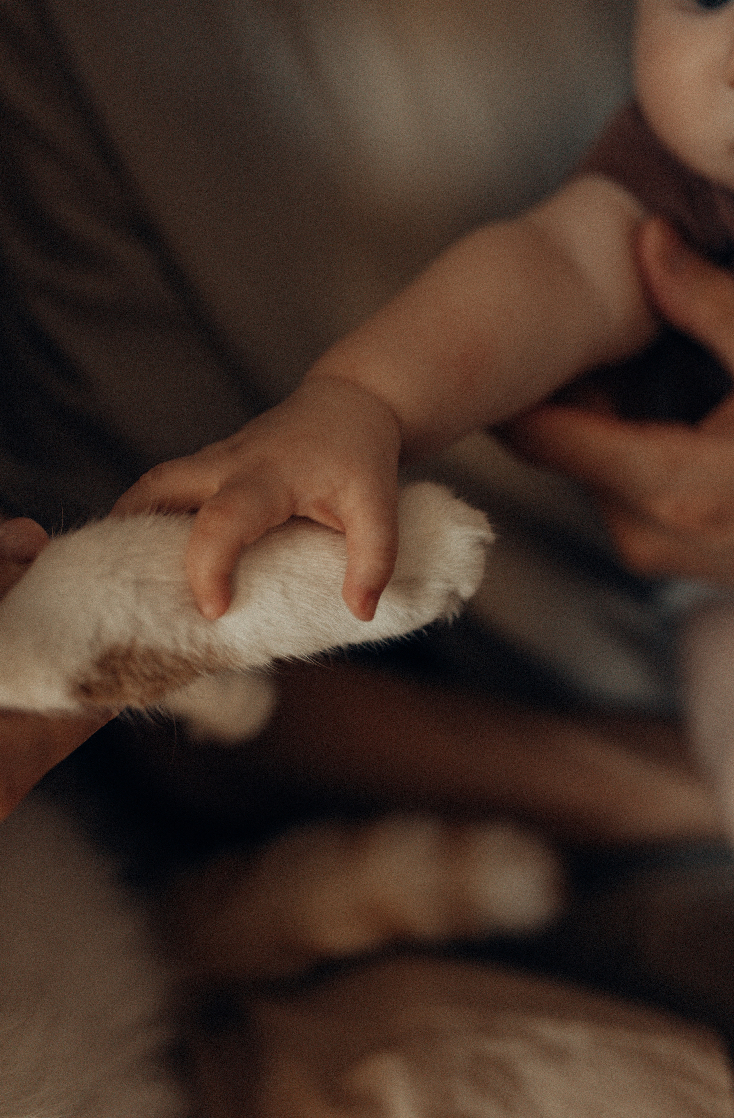 Story Family. Фотограф Анна Путилина