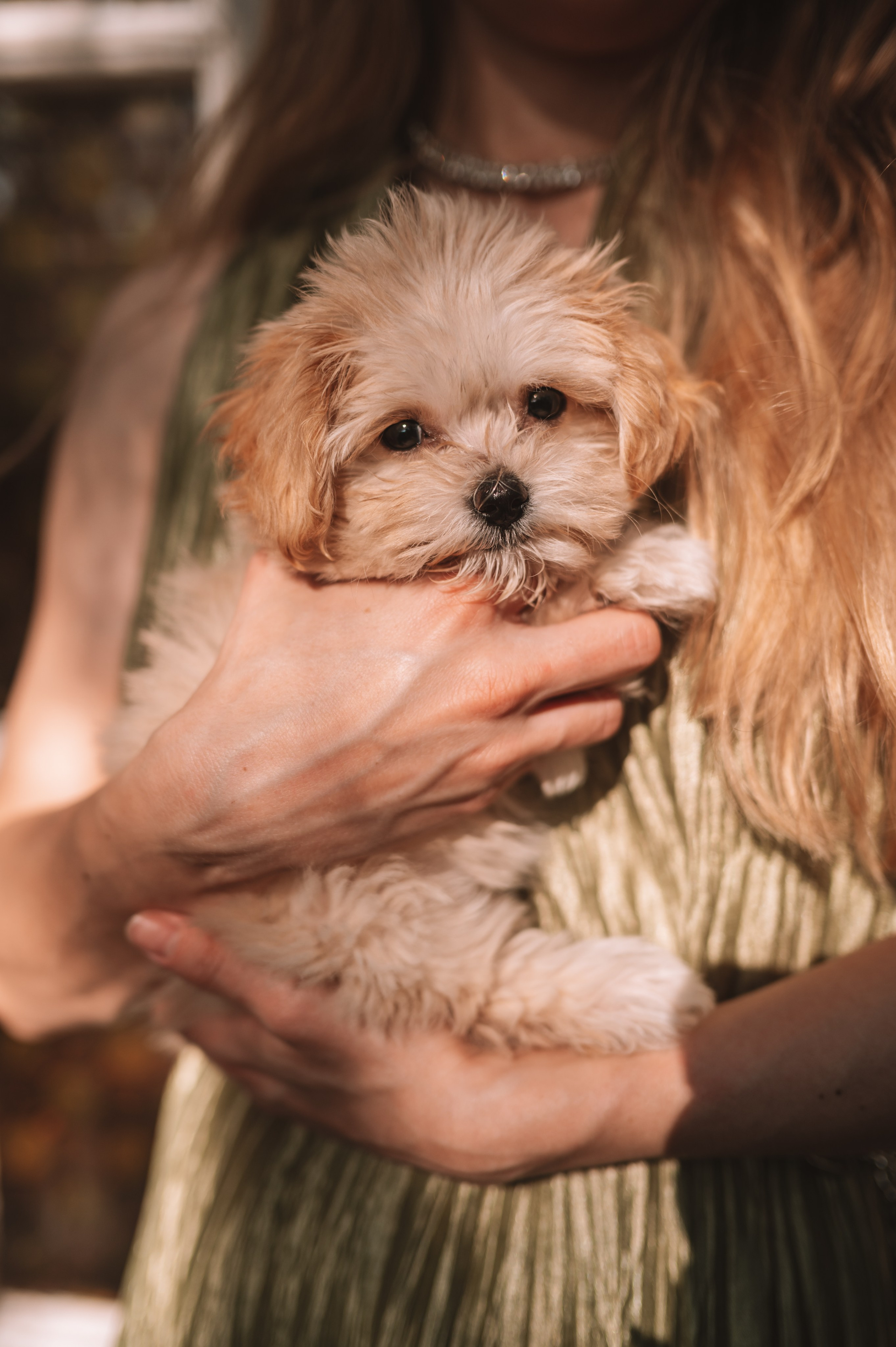 31.08. Свадебный фотограф Дарья Жакова