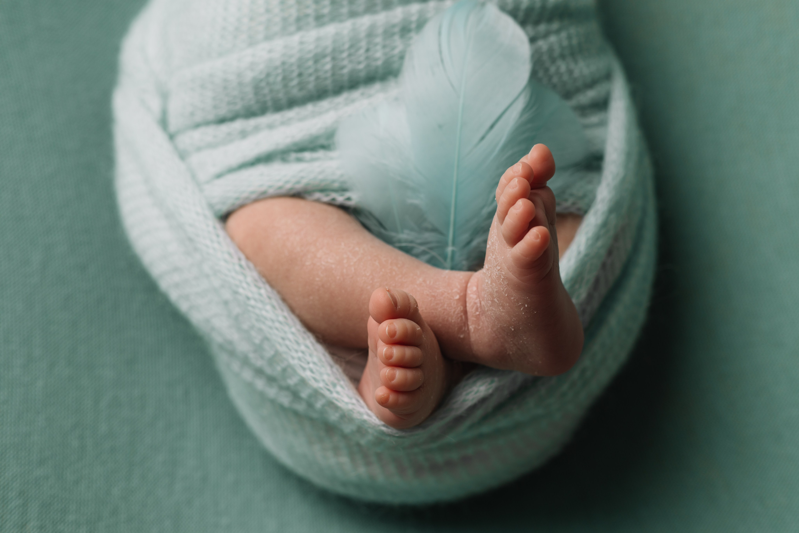 NEWBORN. Фотограф Красноярск Алина Степанчишина