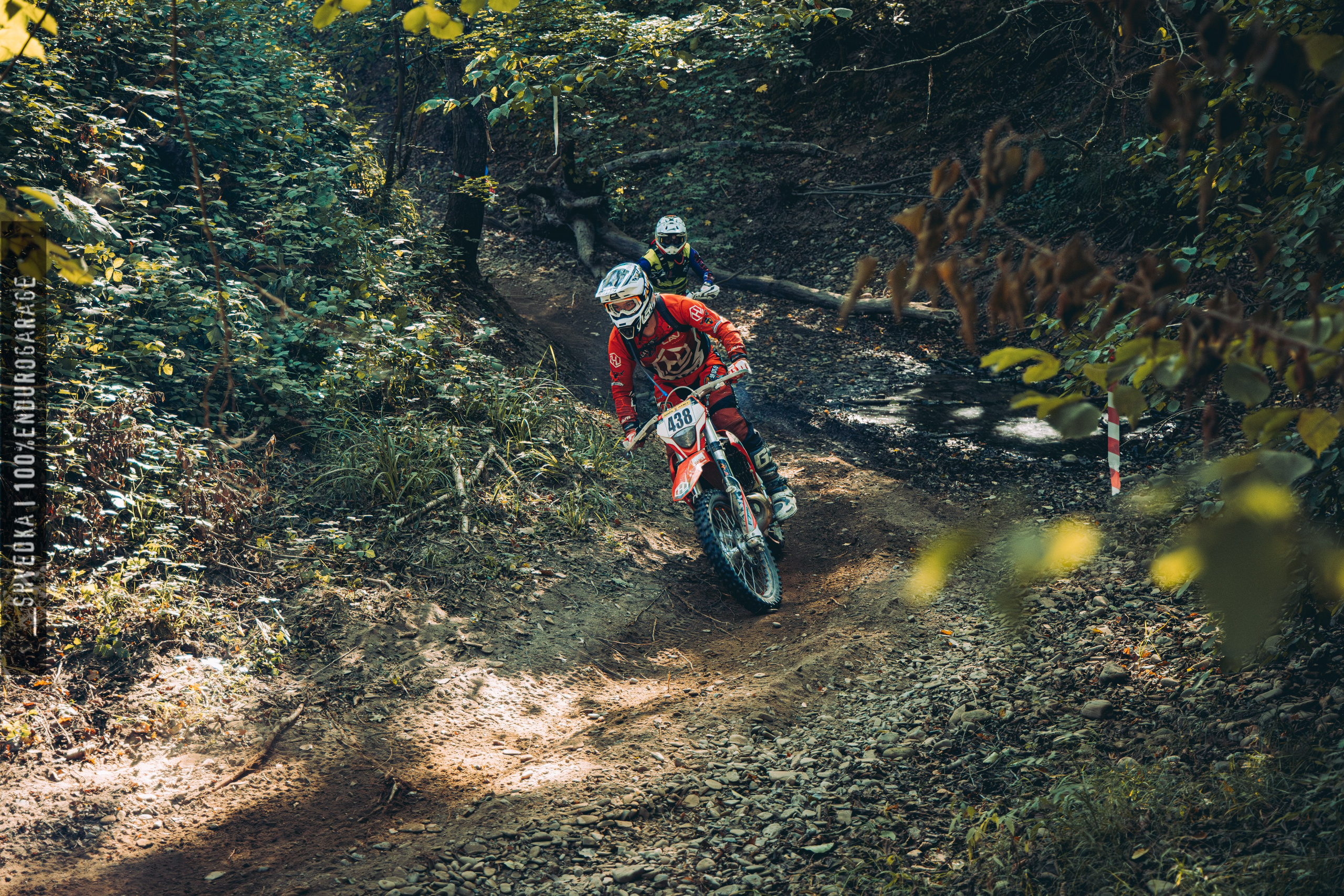 2 лесной день. Ваш экстрим фотограф Кудрева Яна