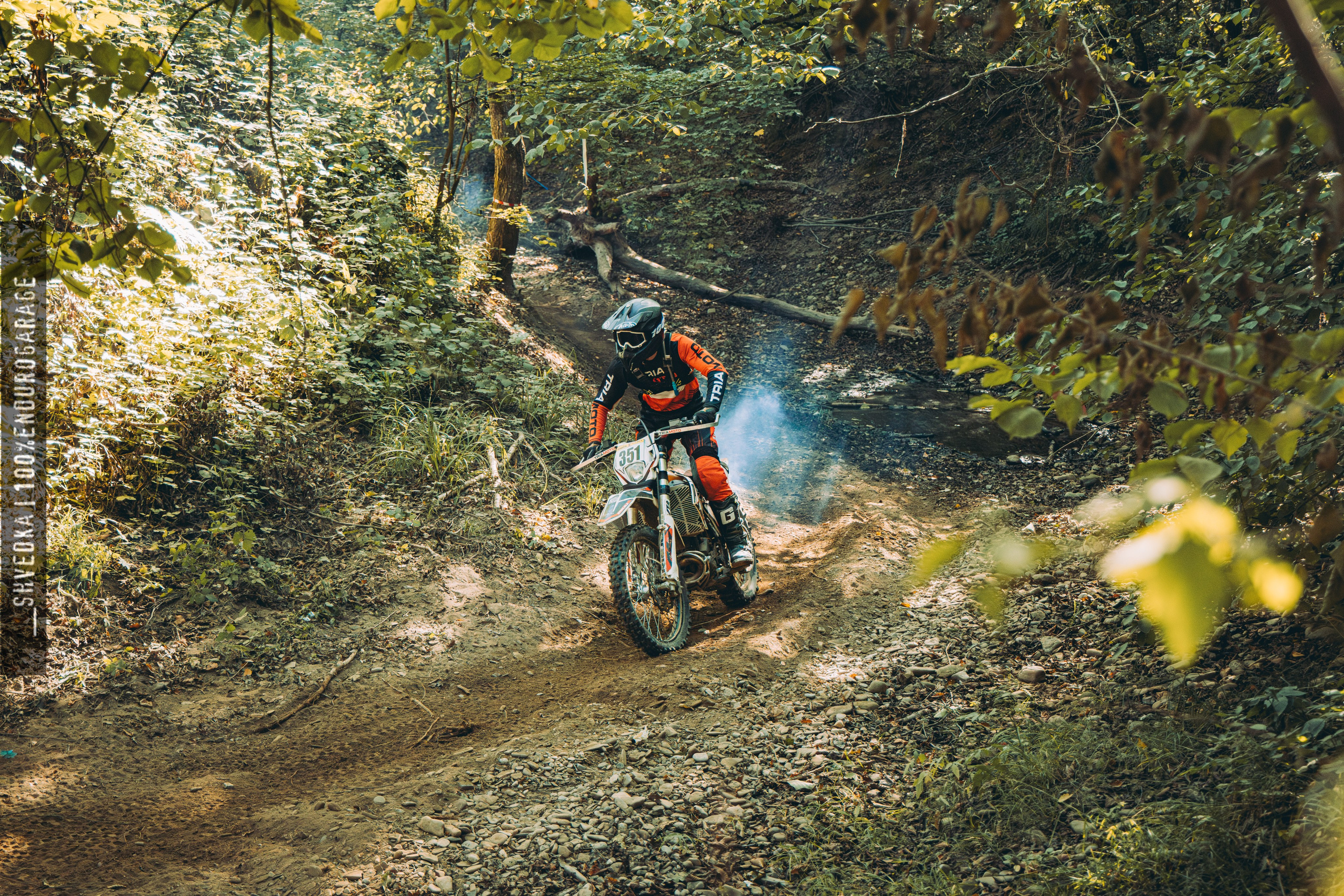 2 лесной день. Ваш экстрим фотограф Кудрева Яна