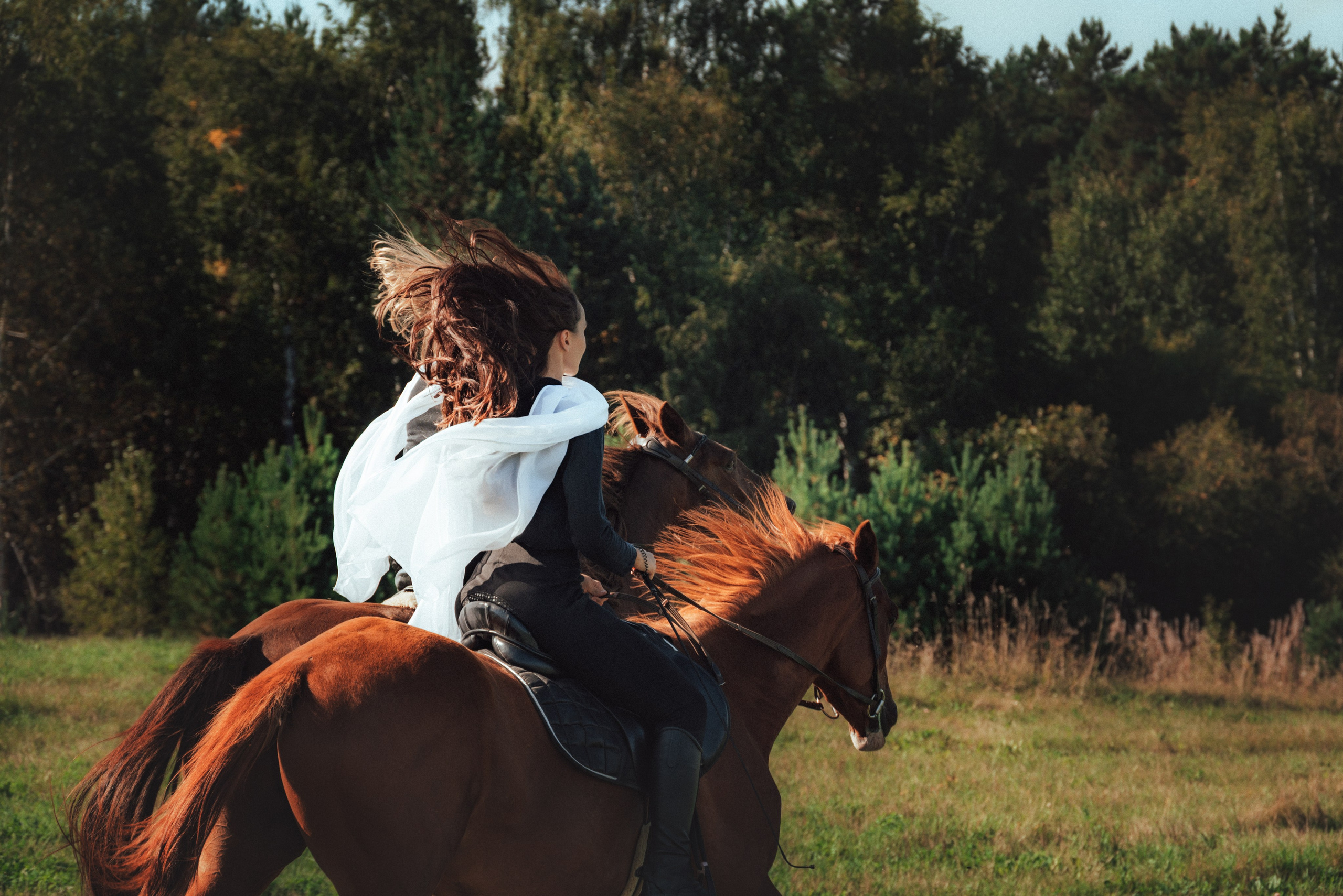 Съемка с лошадью Иркутск Иркутская область. Сайт фотографа Елены Коноваловой Иркутск