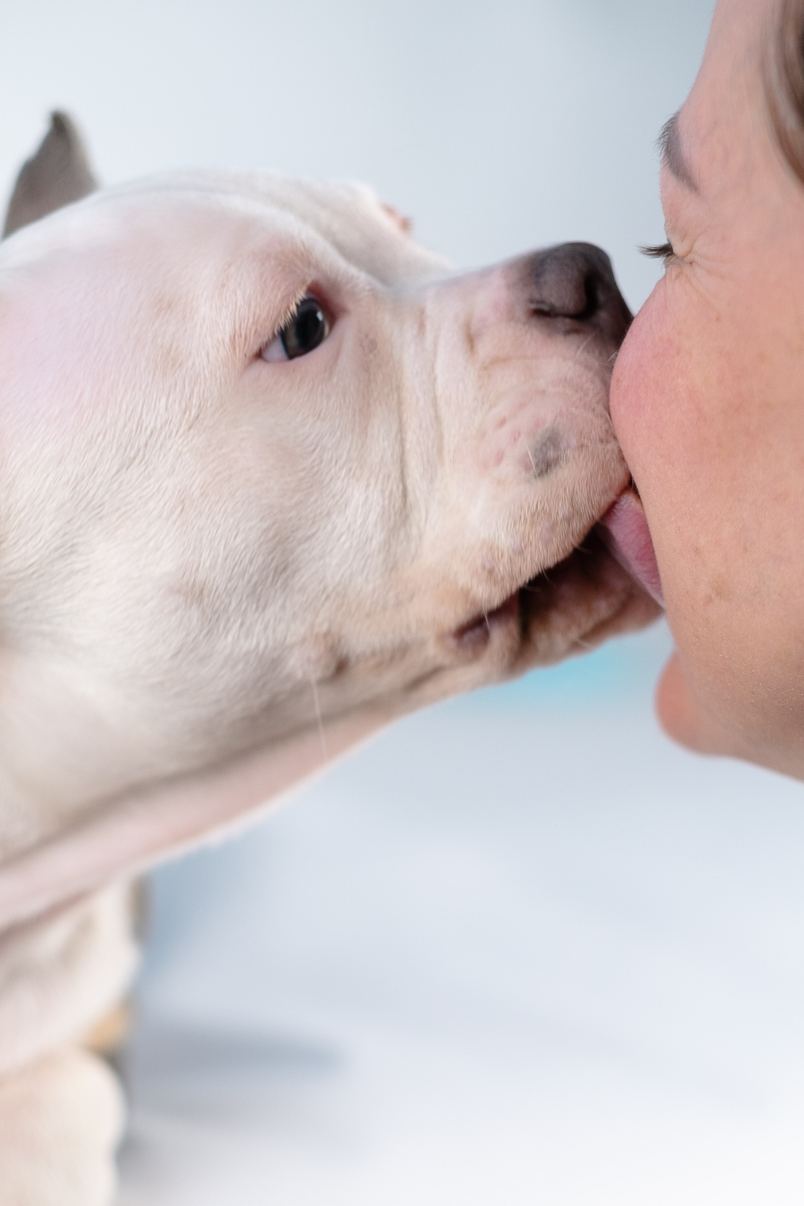 Зевс. Фотограф и видеограф анималист Аганина Дарья