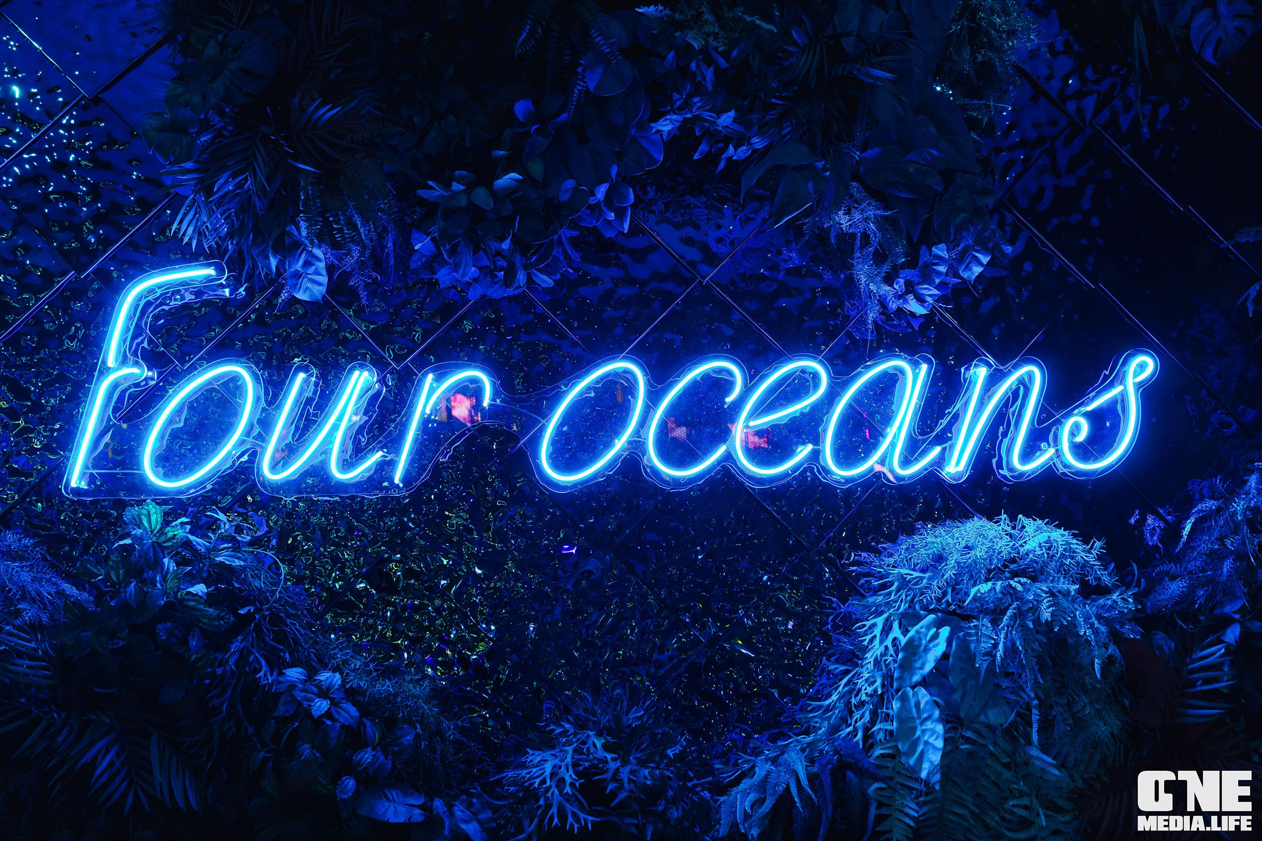 Фоторепортаж из ресторана Океан. One Media Life: фоторепортажи, фотоотчеты с мероприятий и заведений