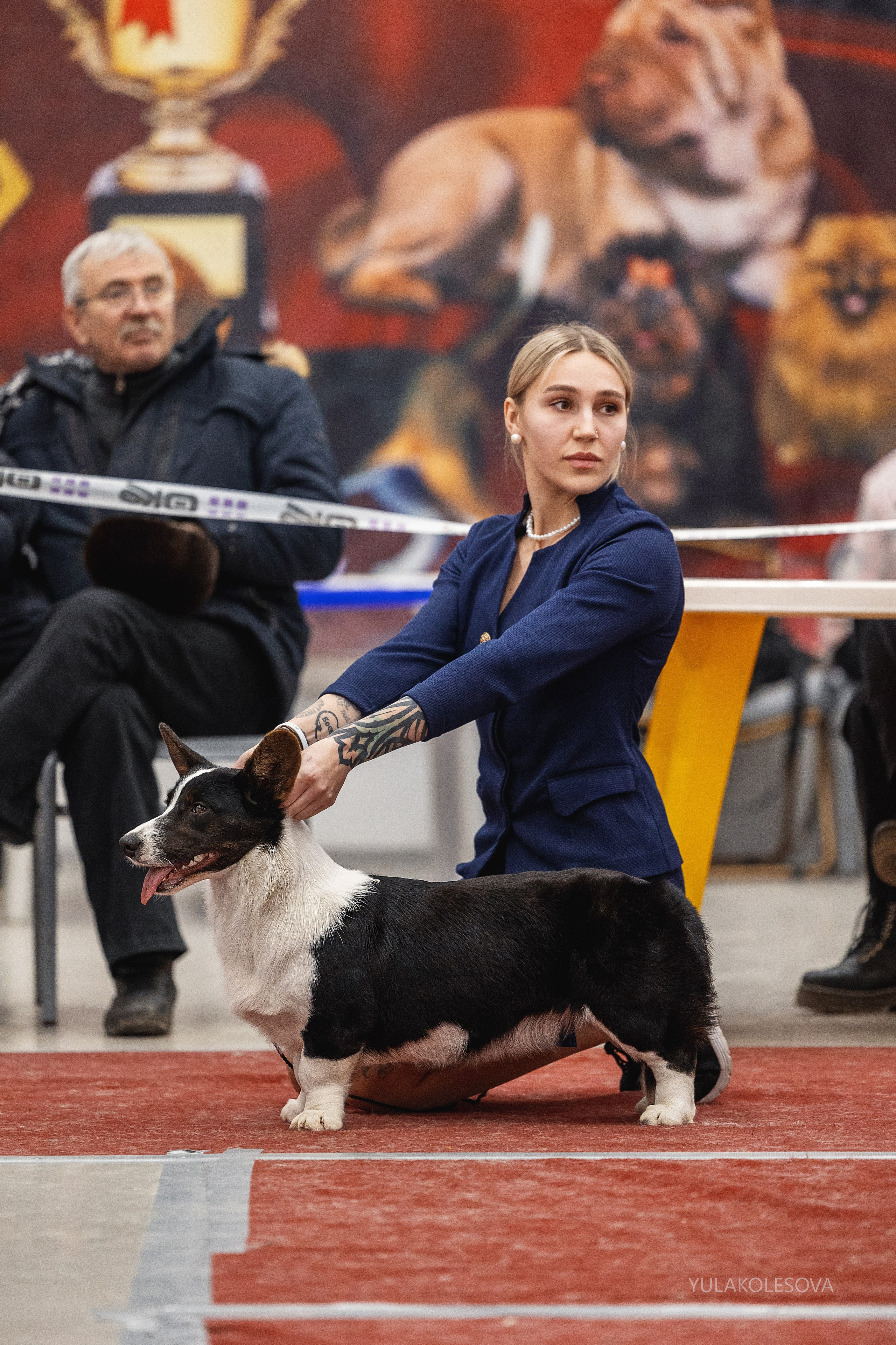 14.12.2024 Выставка собак всех пород «Кубок Дружбы — 2024». YULA KOLESOVA | Фотограф — Анималист | Художник | Тюмень