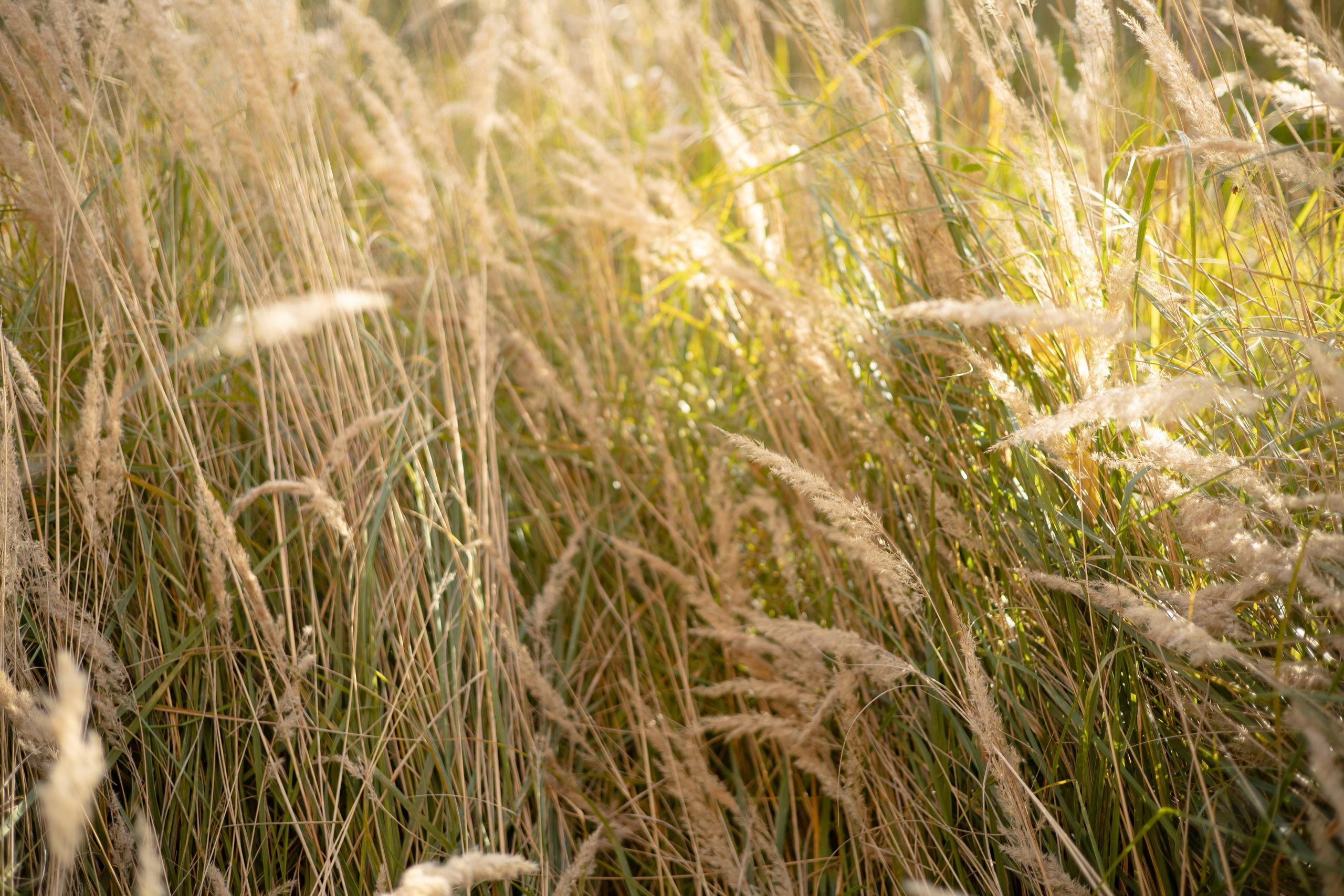 EVA. Фотограф Элла Ефимова