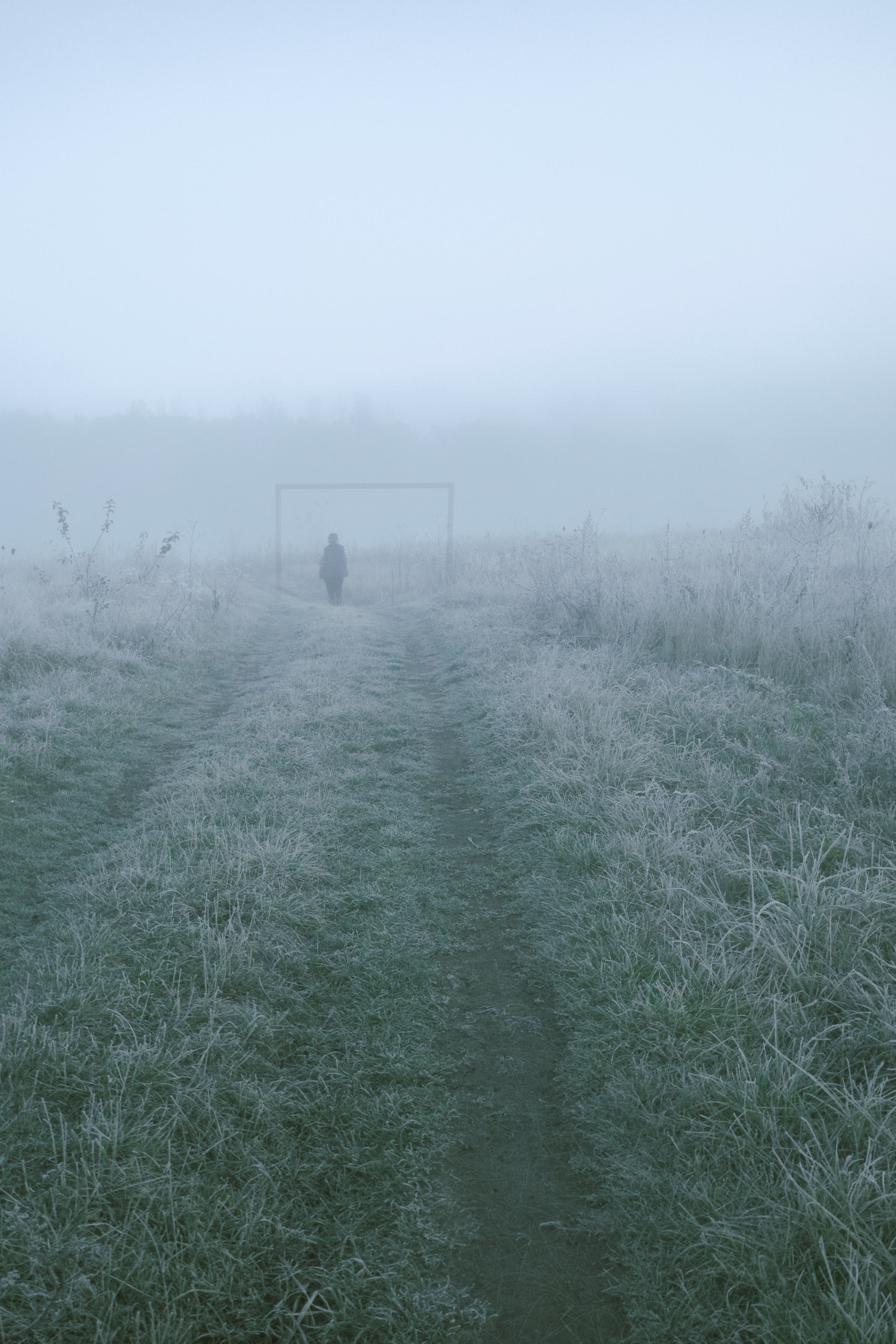 О границах реального. Междисциплинарный художник Екатерина Старовойтова