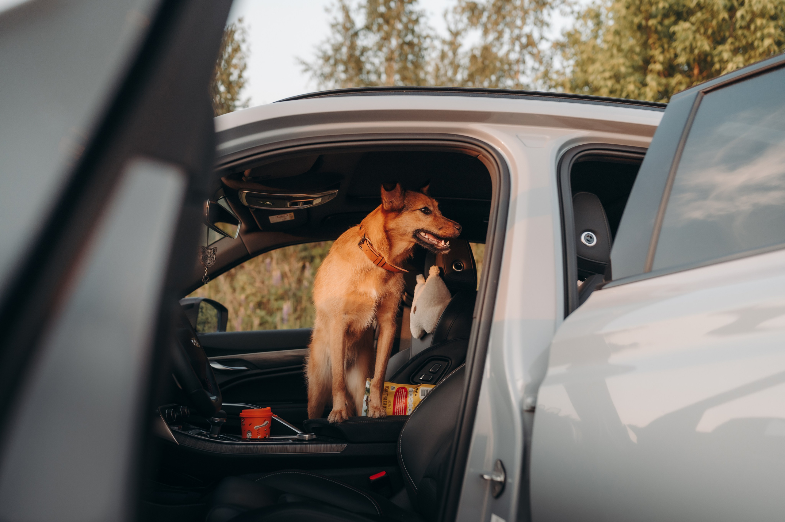 Яна и Санька. Главная