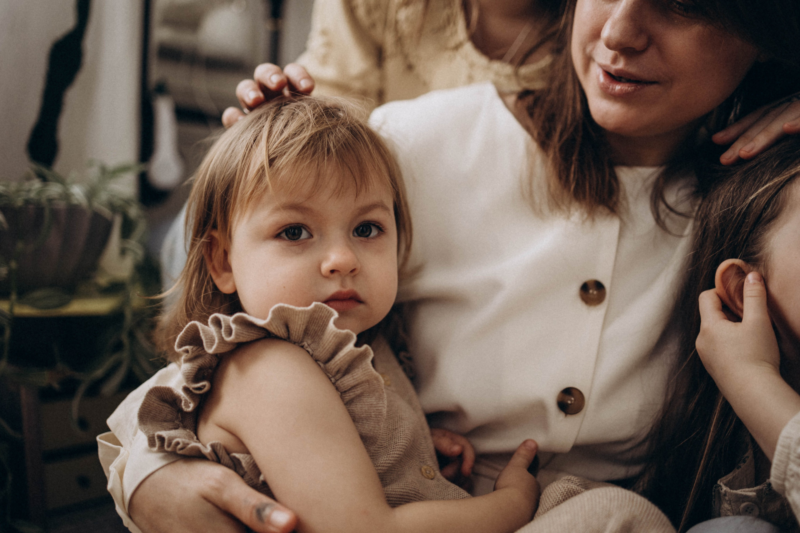 Домашняя семейная история. Главная