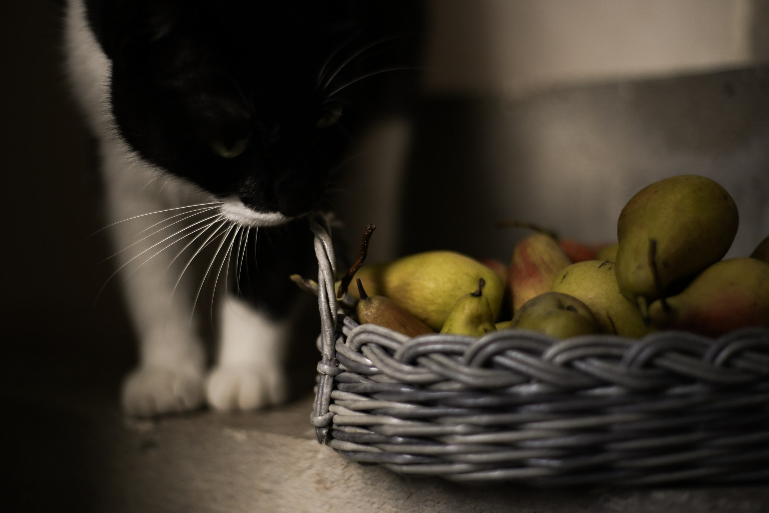 Плетеные изделия. Коммерческий фотограф. Ростов-на-Дону. Дарья Константинова