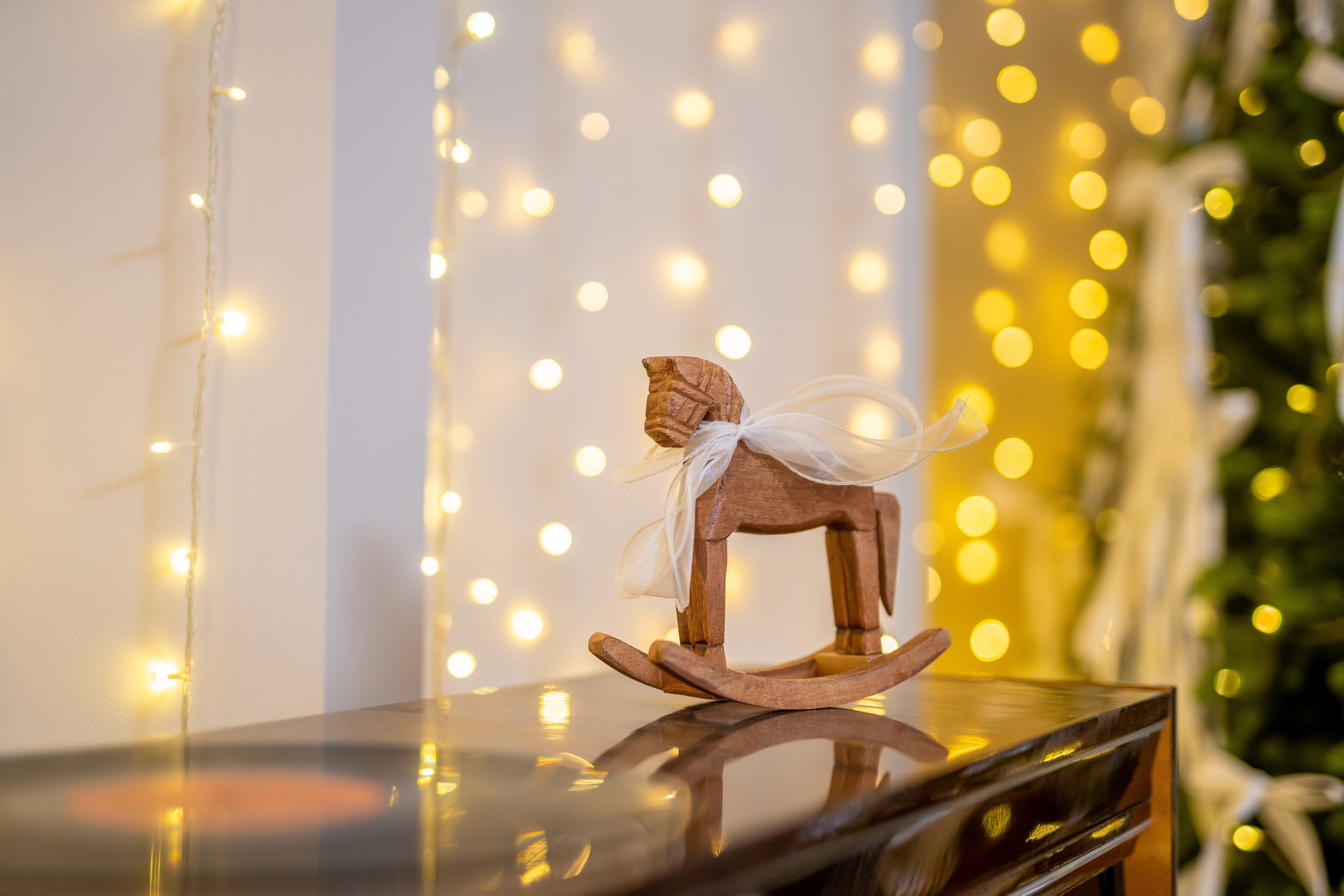 Белый. Фотограф г. Хабаровск. Семейные и индивидуальные съёмки