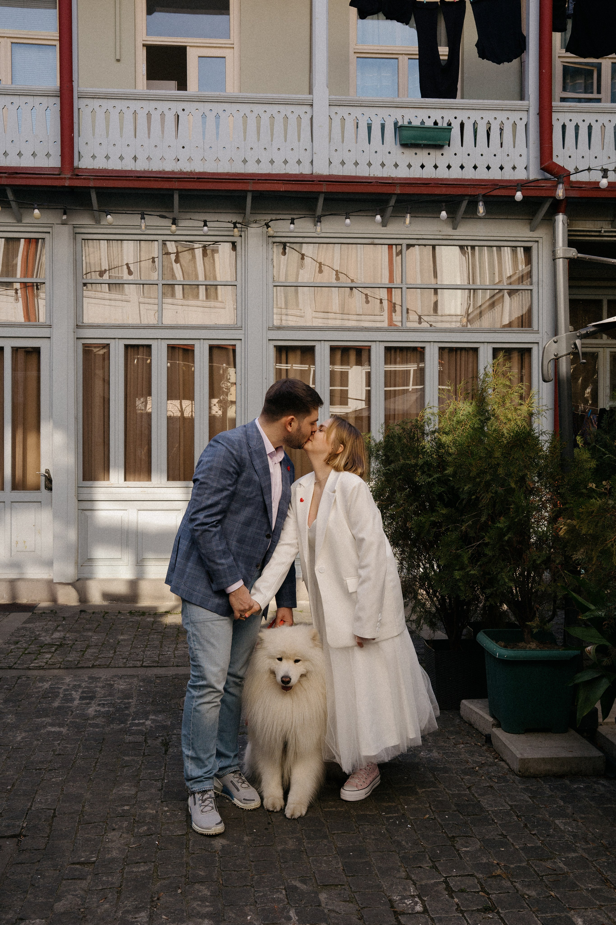 Пушистый свидетель