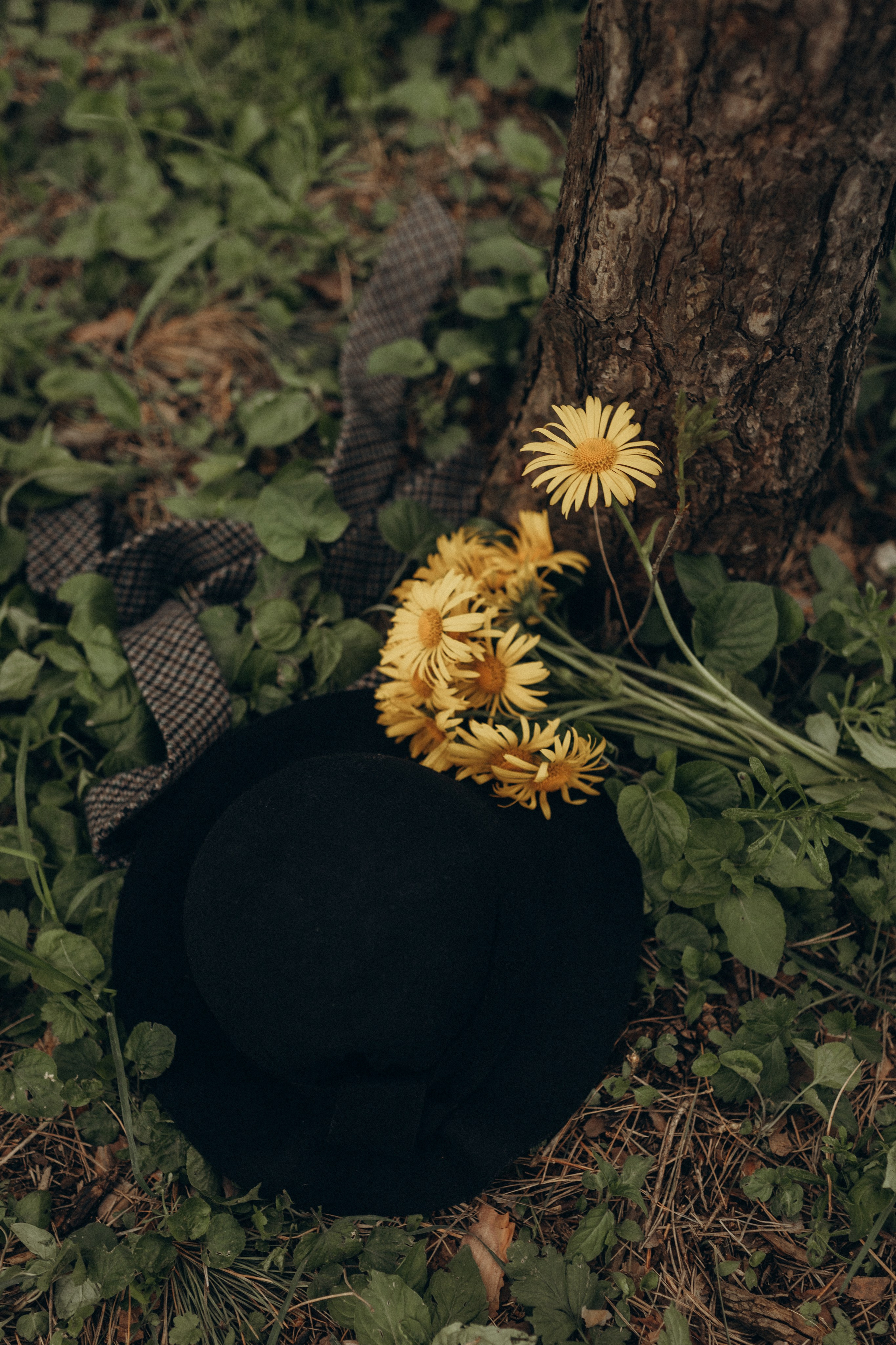 Прекрасная семья-Ваня, Виктория и Анютка. Фотограф в Ставрополе Svetlana Matveeva