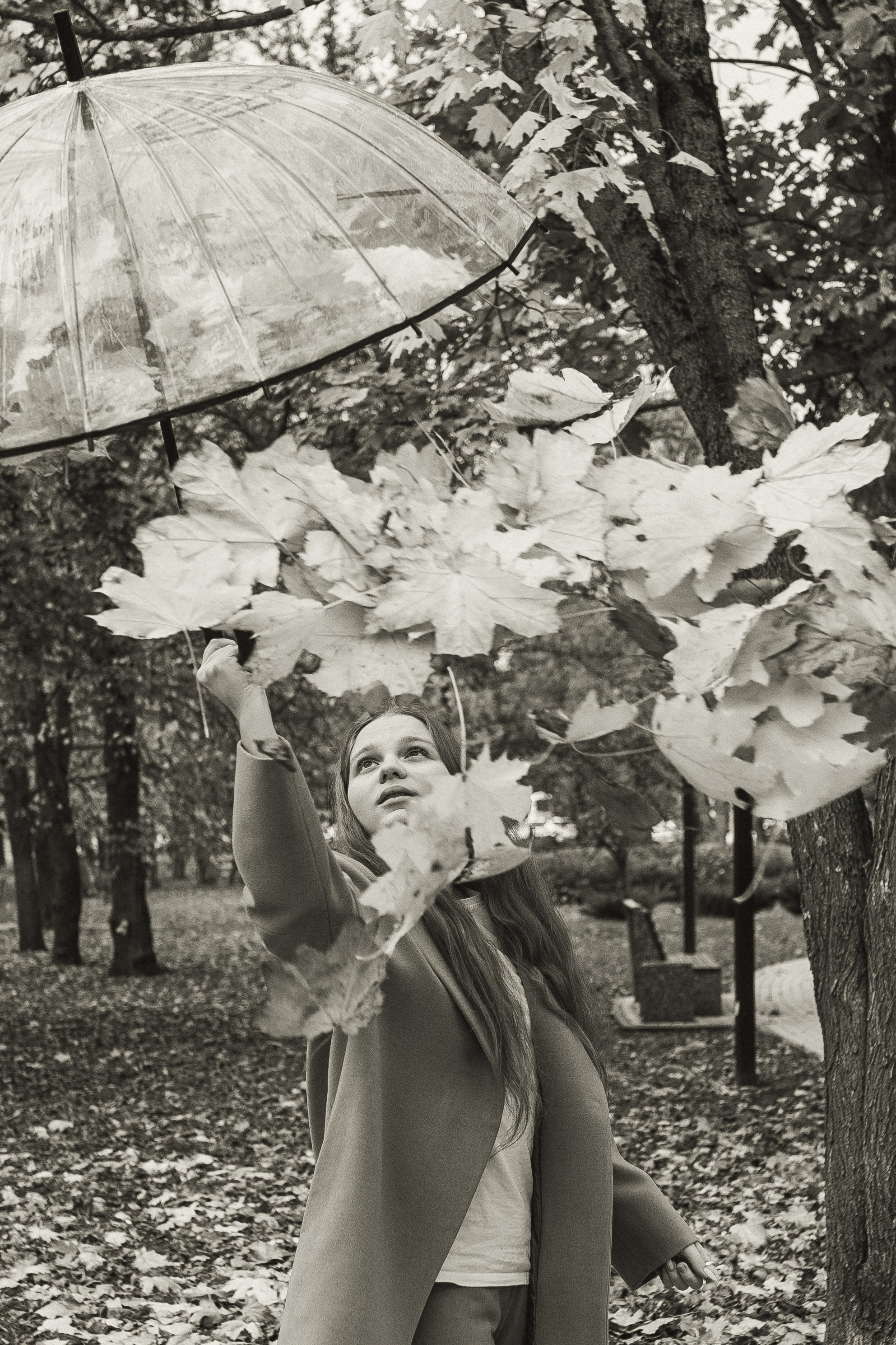 Золотая осень. Индивидуальная съёмка. Фотограф в Ставрополе Svetlana Matveeva