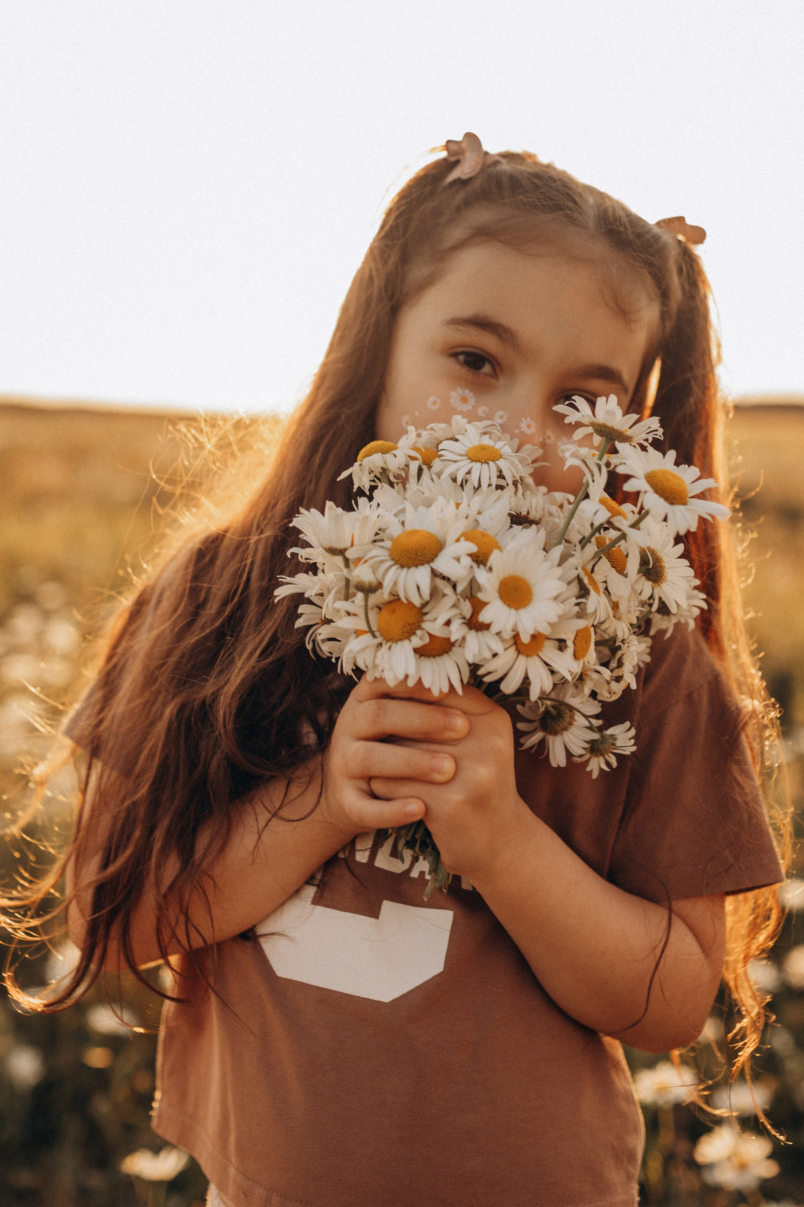 Закат на ромашковом поле. Фотограф в Ставрополе Svetlana Matveeva