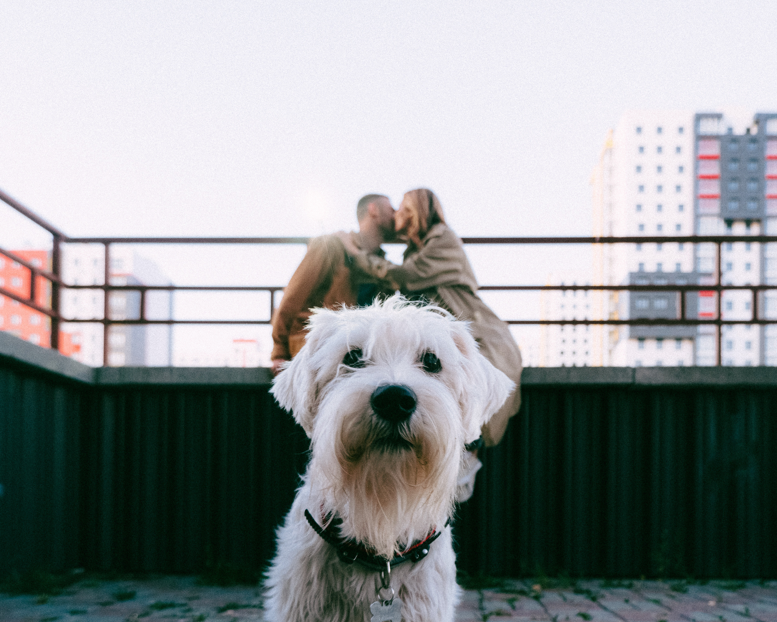 Илона + Дима. Фотограф Артём Бобков Сургут