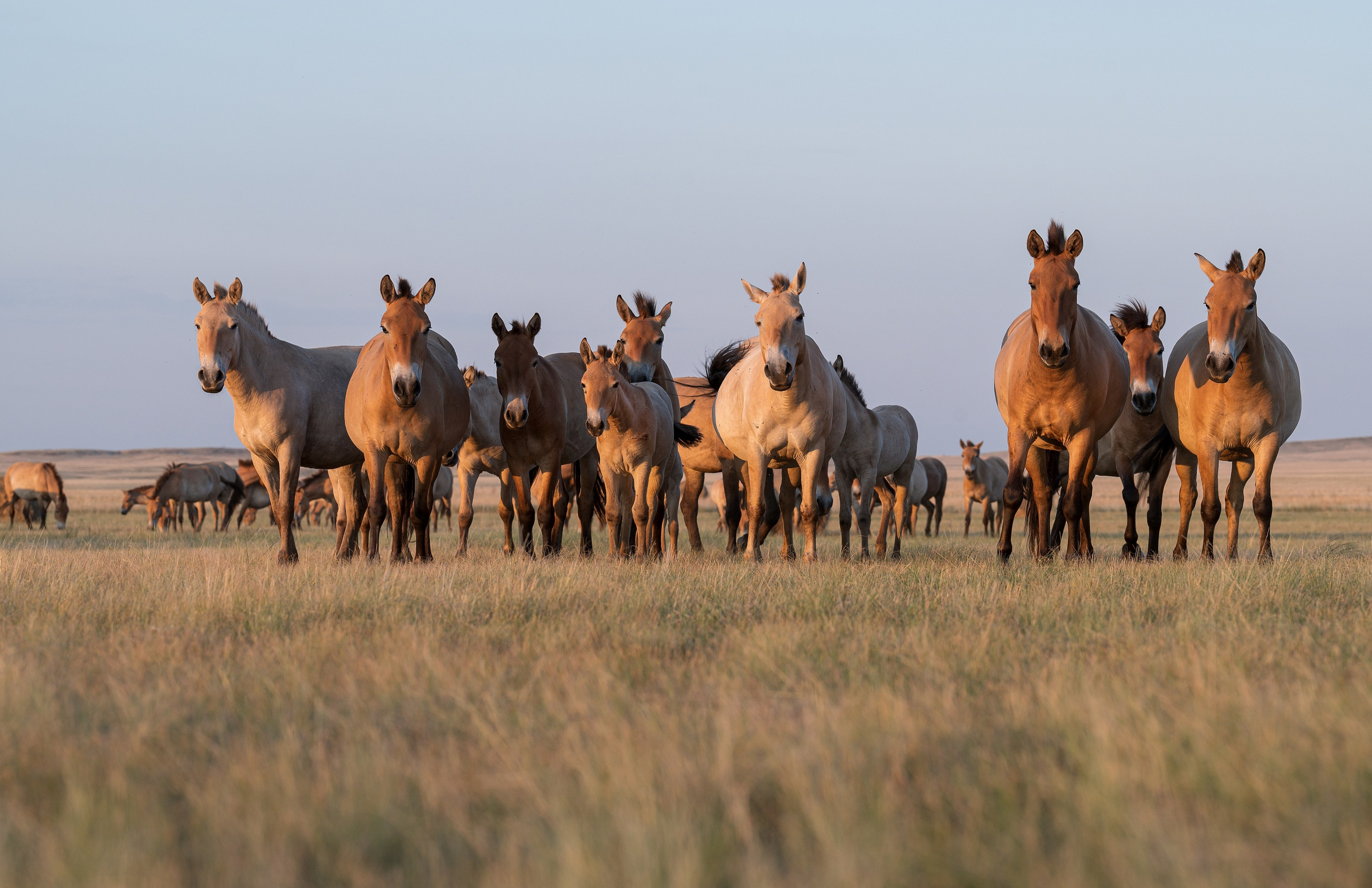 В природе. Портретный фотограф в Челябинске Катерина Руди