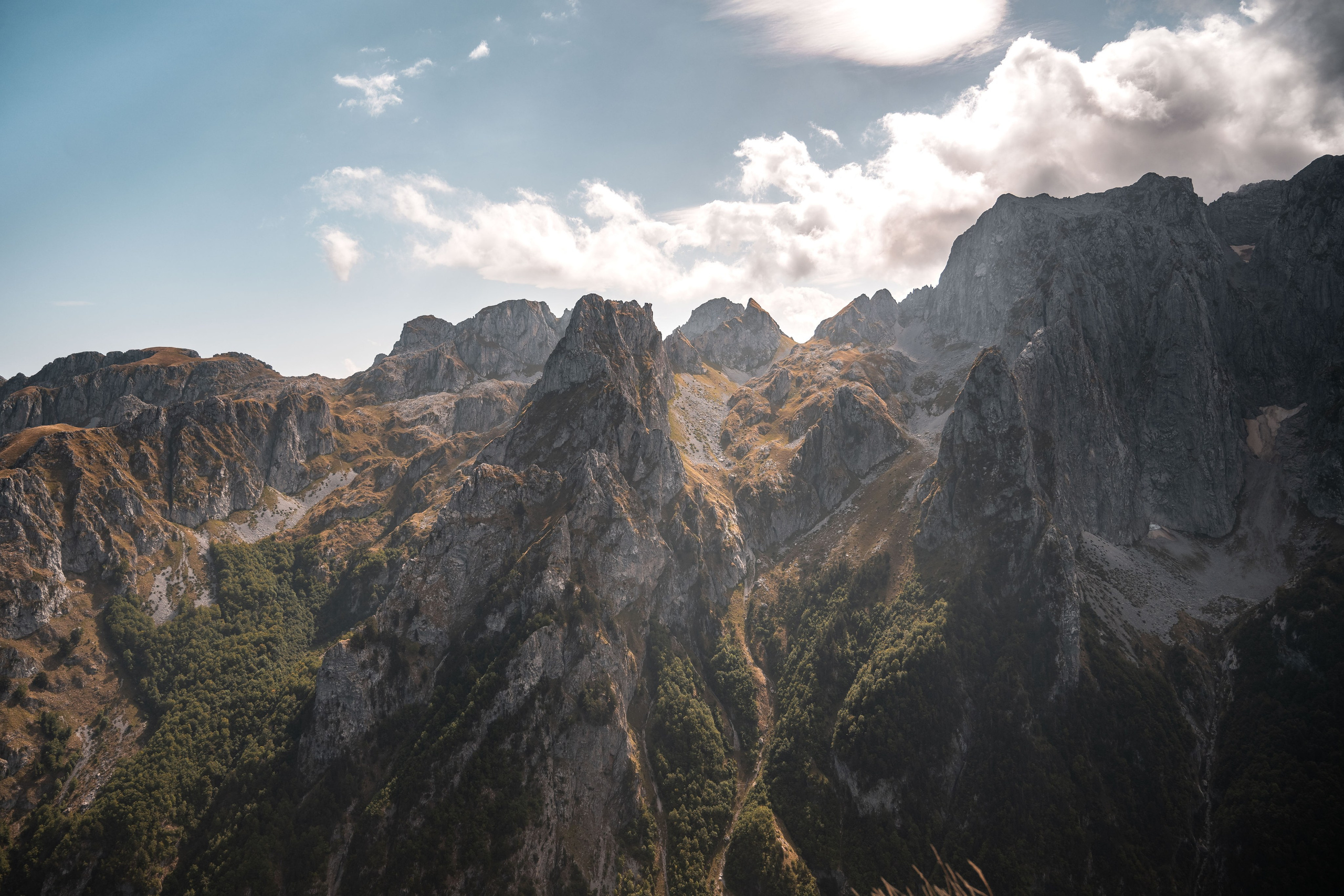 ДОЛИНА ГРЕБАЙЕ. ЧЕРНОГОРИЯ. Фотограф в Белграде Чугреева Елена