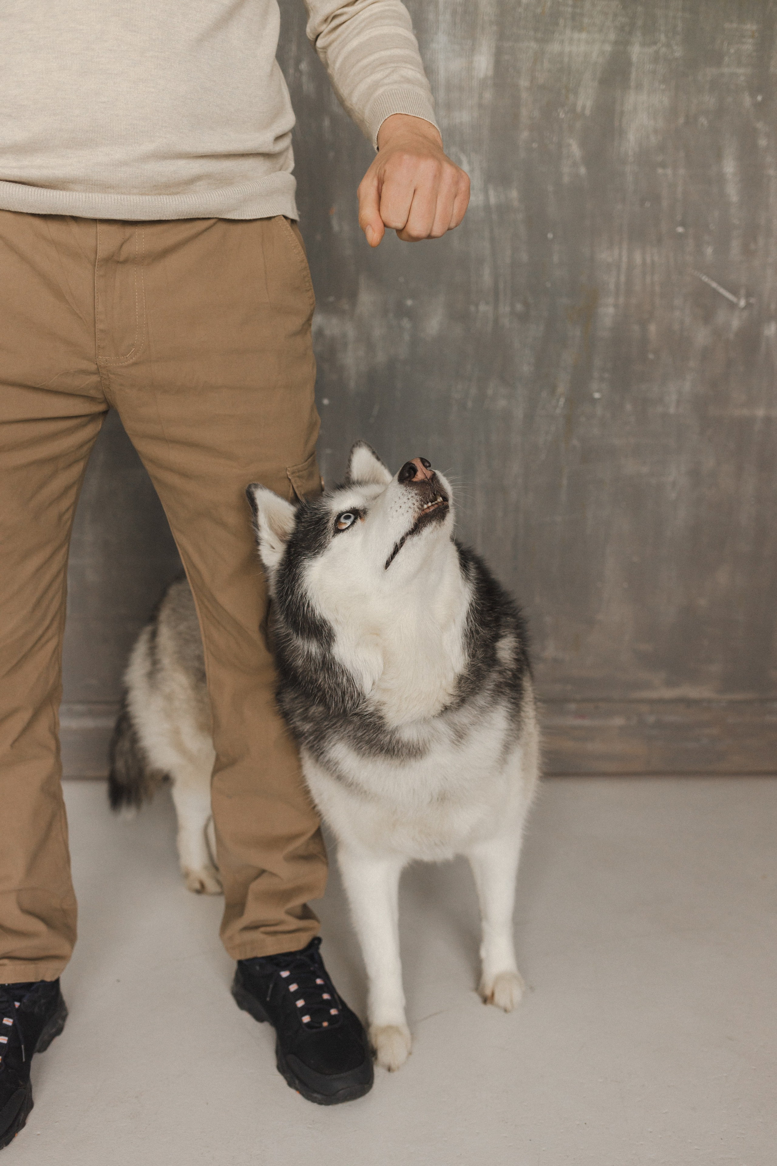 История семьи. Семейный фотограф в Москве