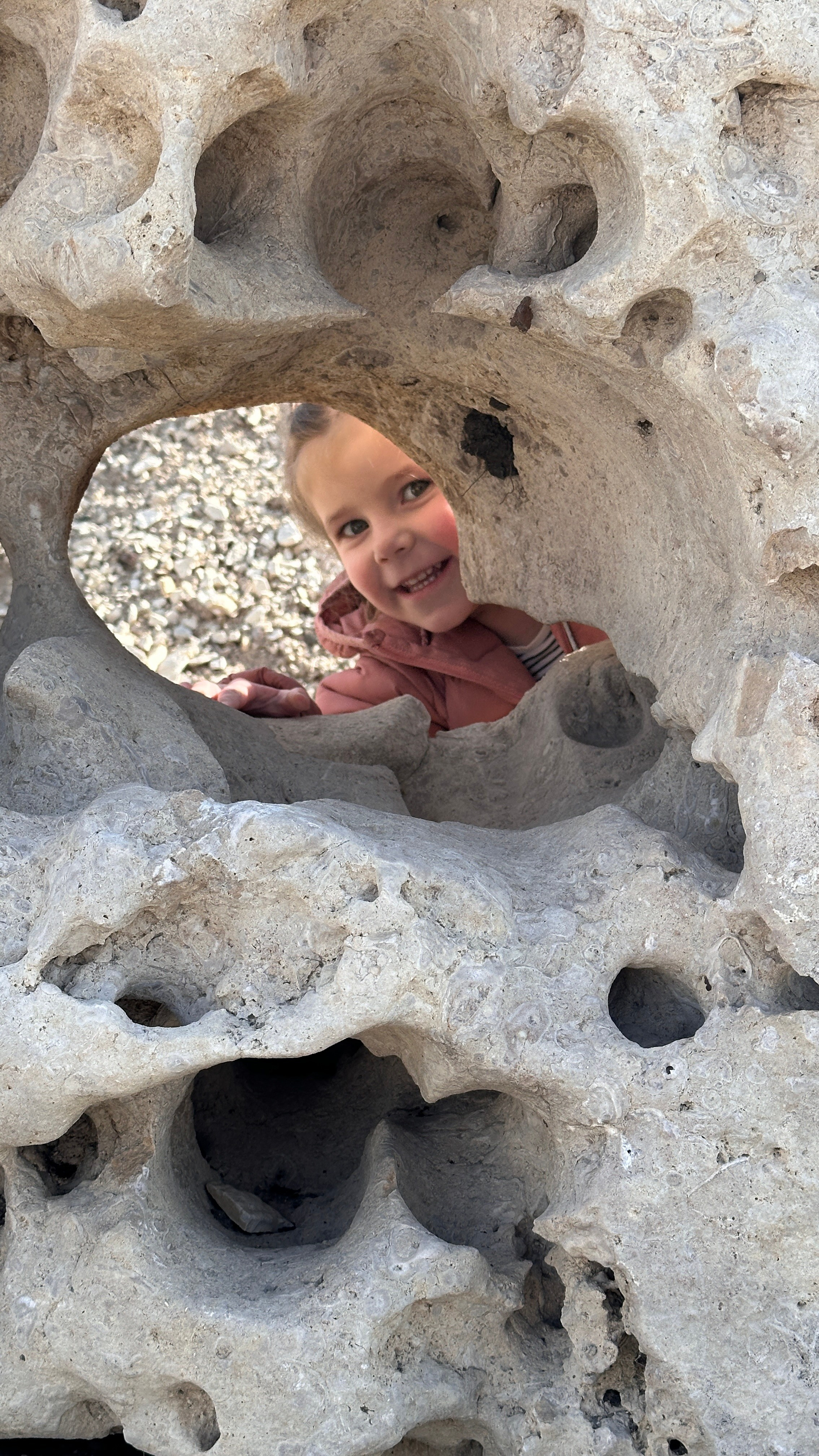 Дети. Смотри, красота!