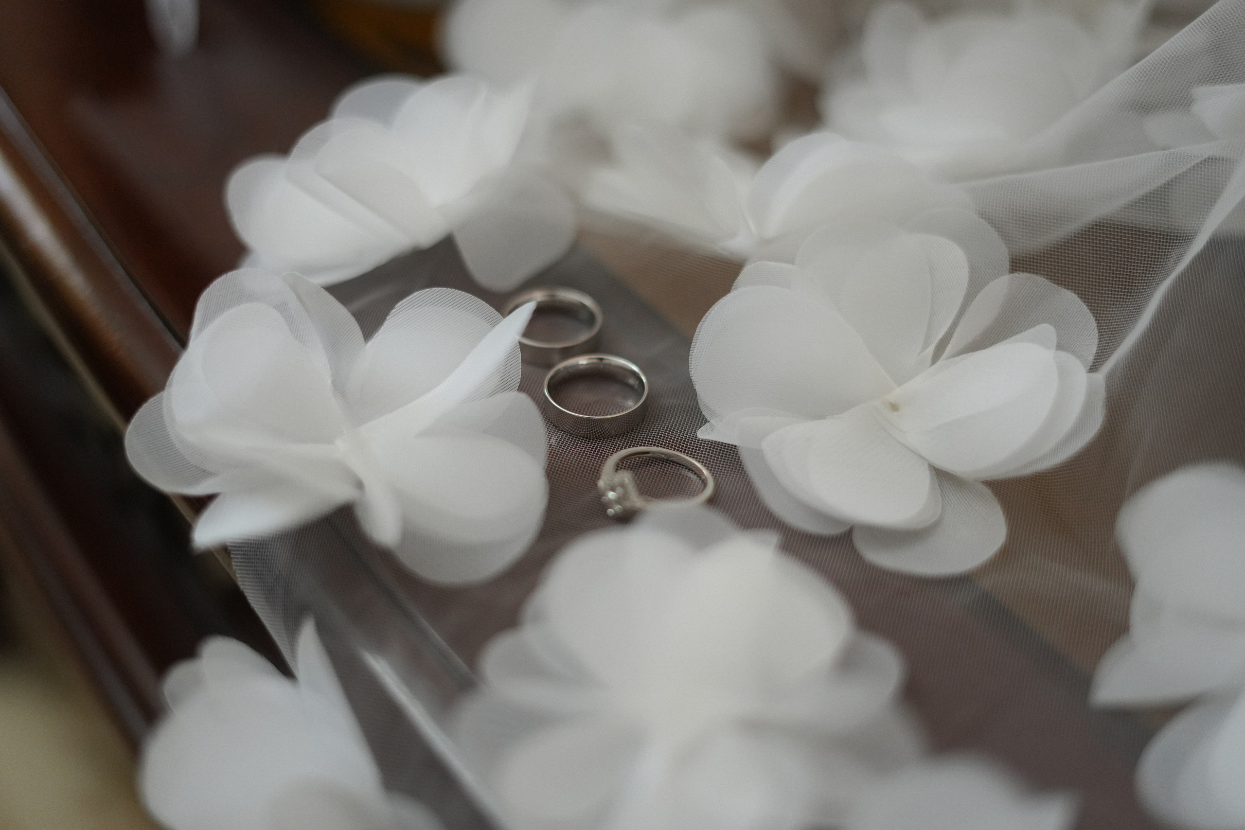 Кирилл+ Ани. Фотограф Волгоград Анастасия Ли