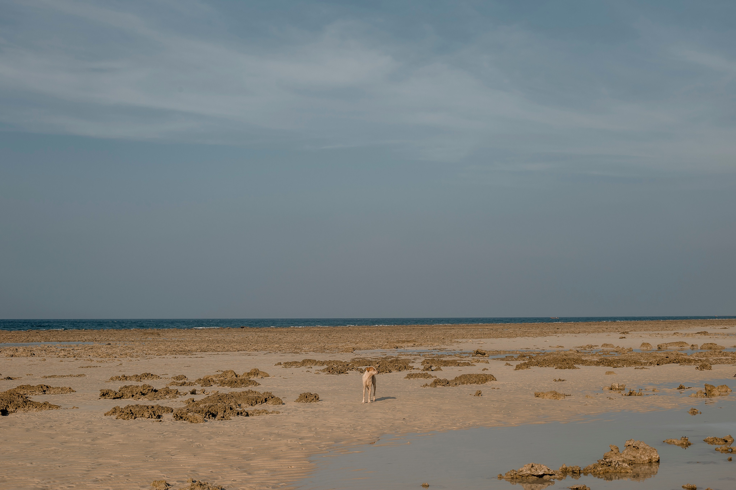 Andaman Islands, Part2. Art Photographer