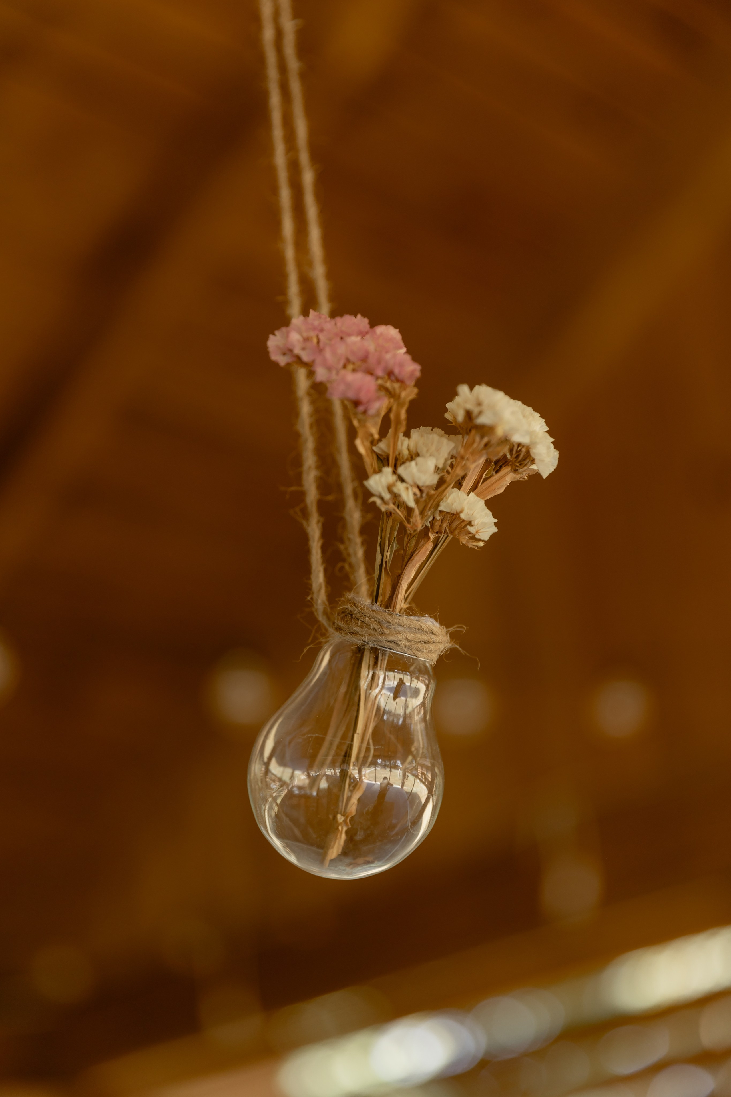 Виноградники. Dima Lemeshevsky