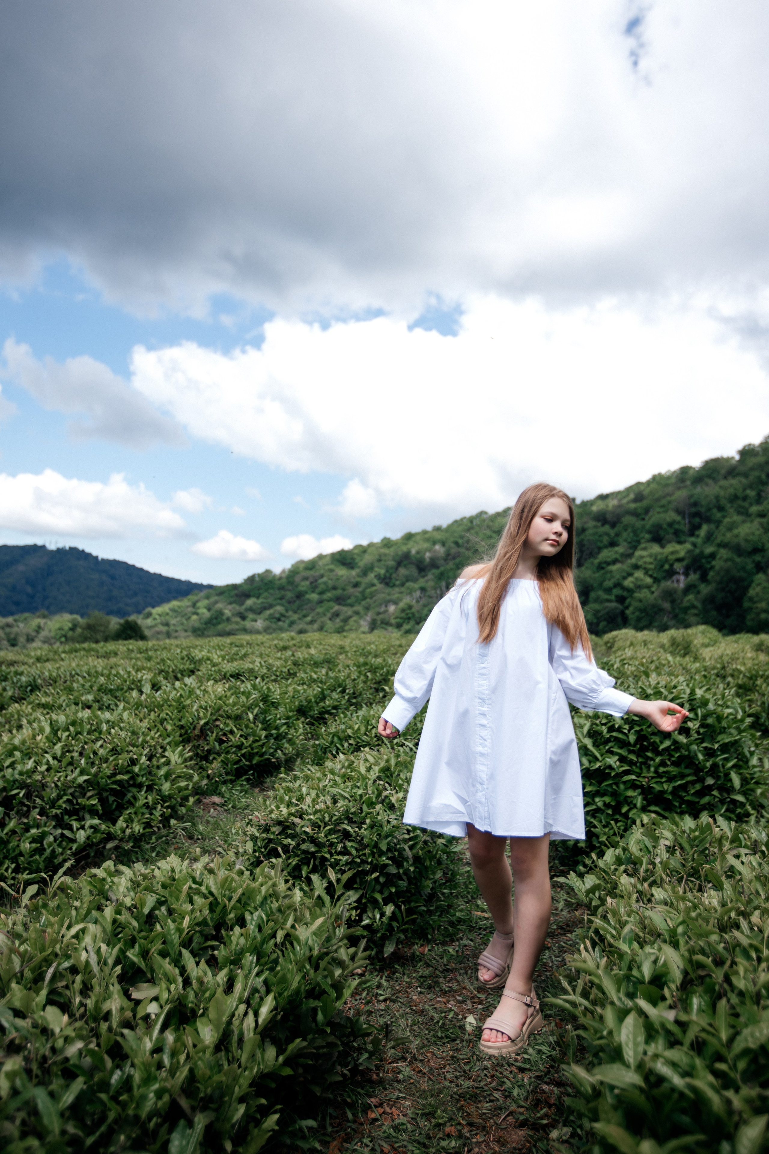 Tea plantation. Efimova Model Agency