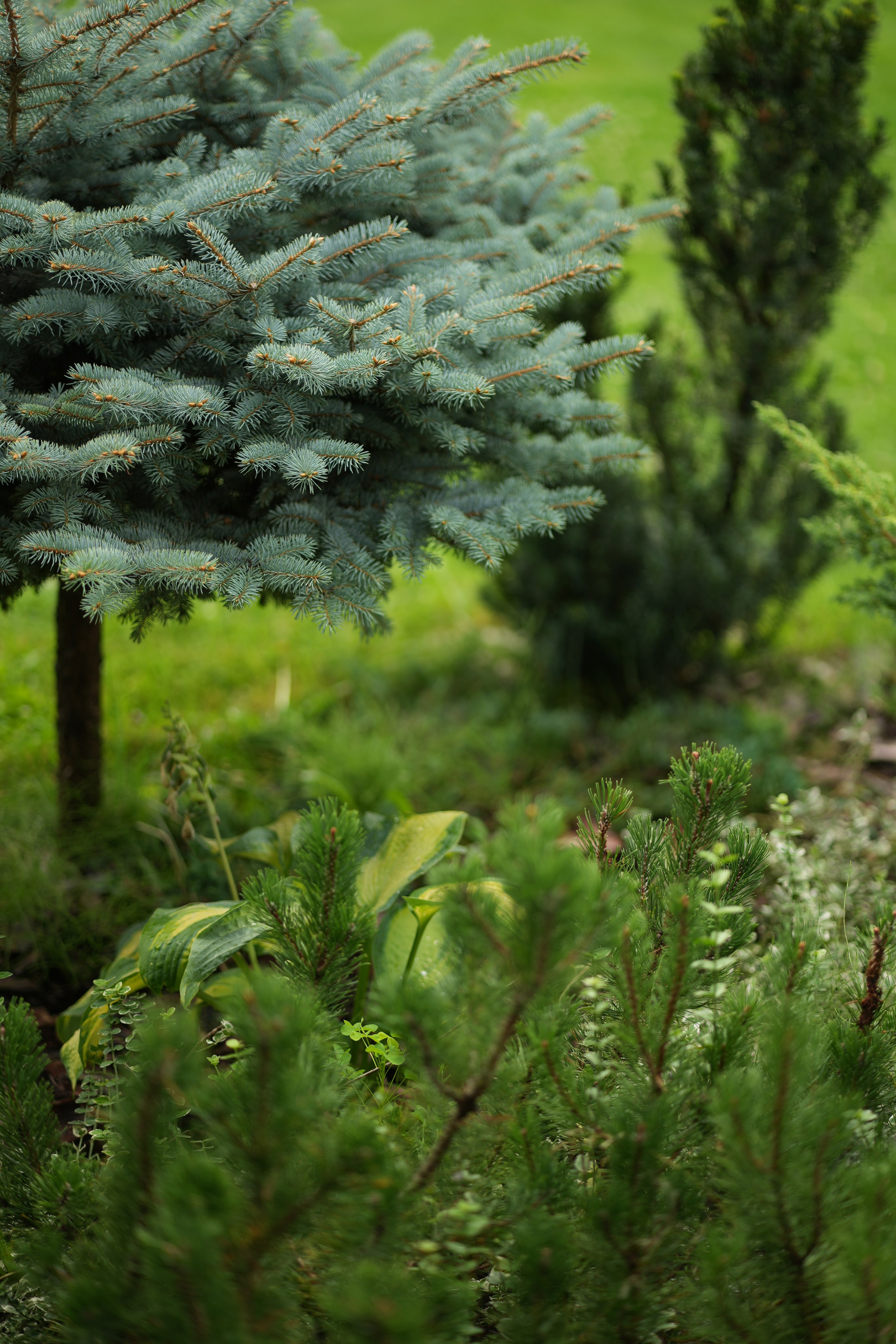Час 1500 пример фотосессии пакет «ФОТО НА ПАМЯТЬ» (без обработки). Фотограф Нижний Новгород Татьяна Кэйод