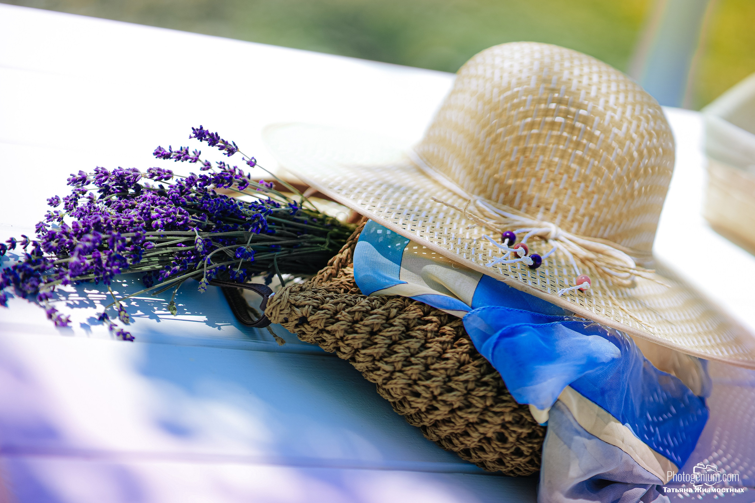 Лавандовое поле 2. Фотограф Нижний Новгород Татьяна Кэйод