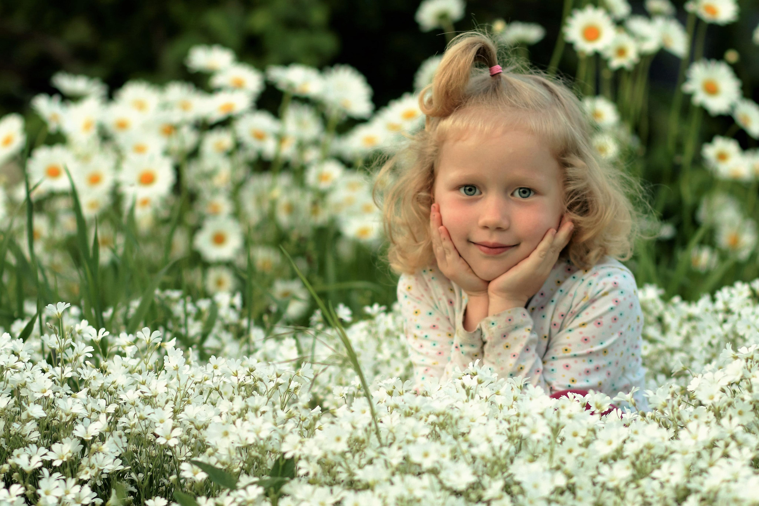 Алиса. Главная