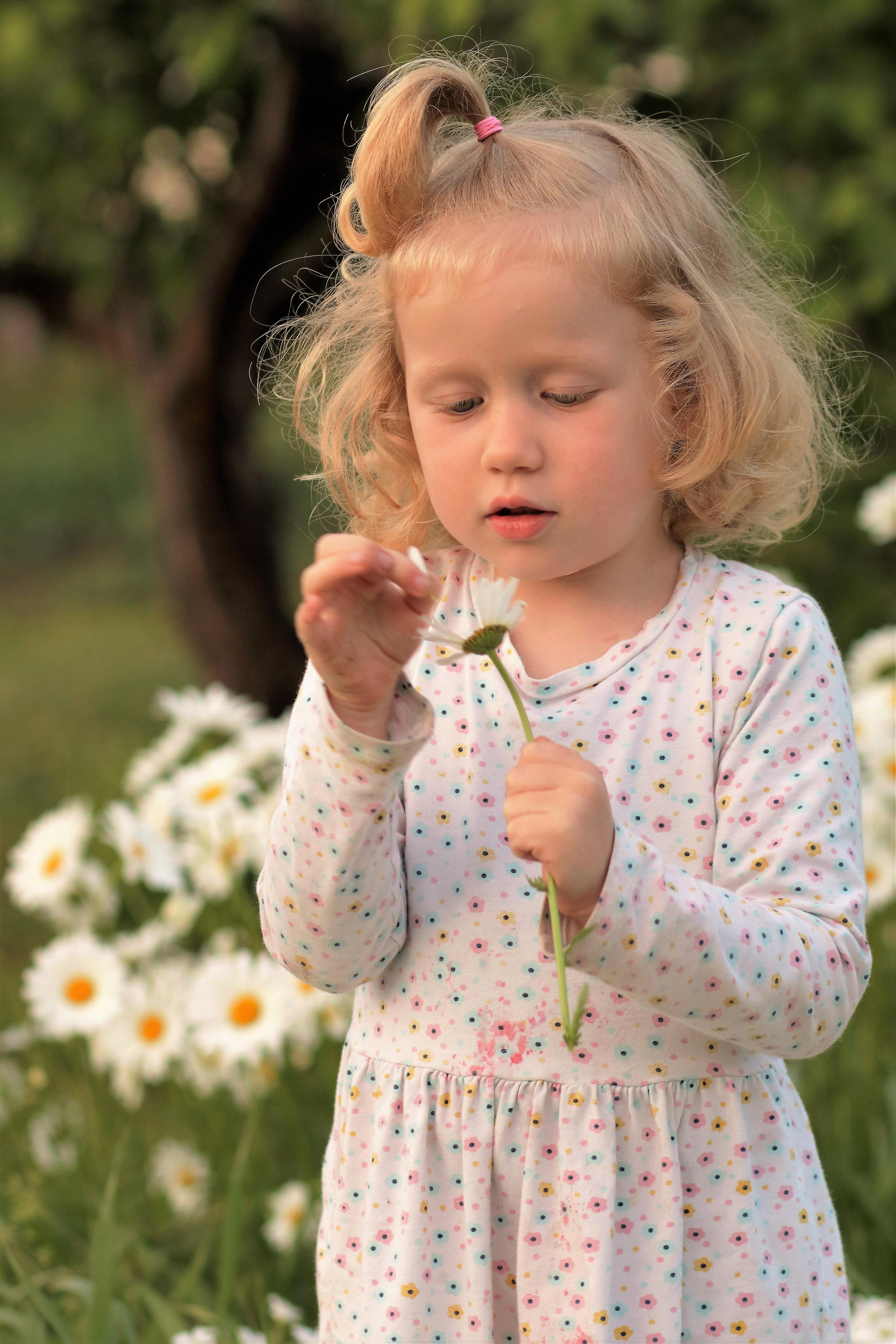 Алиса. Главная