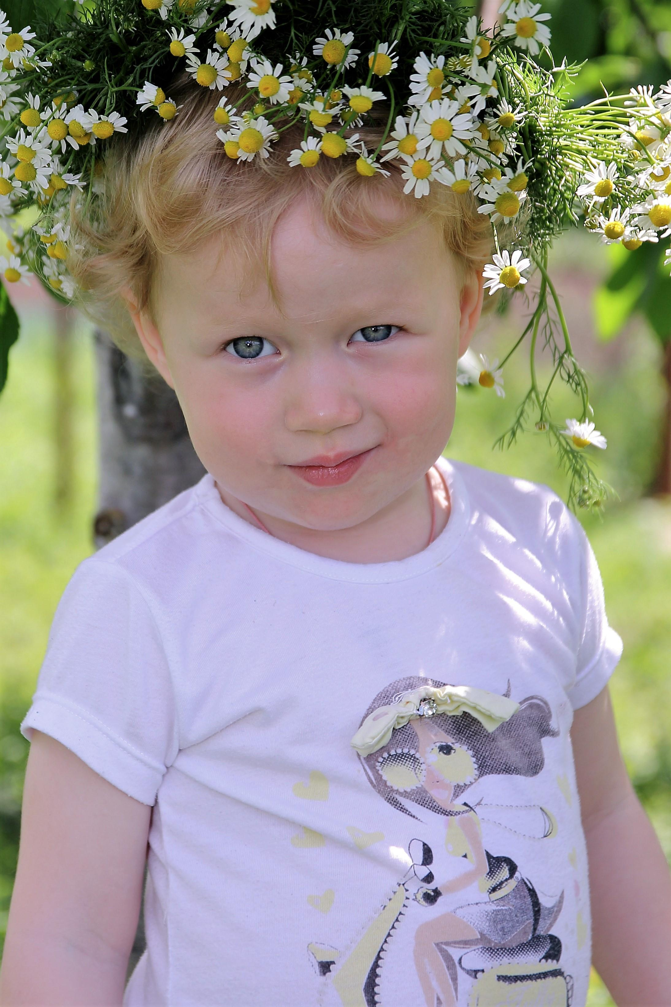 Алиса. Главная