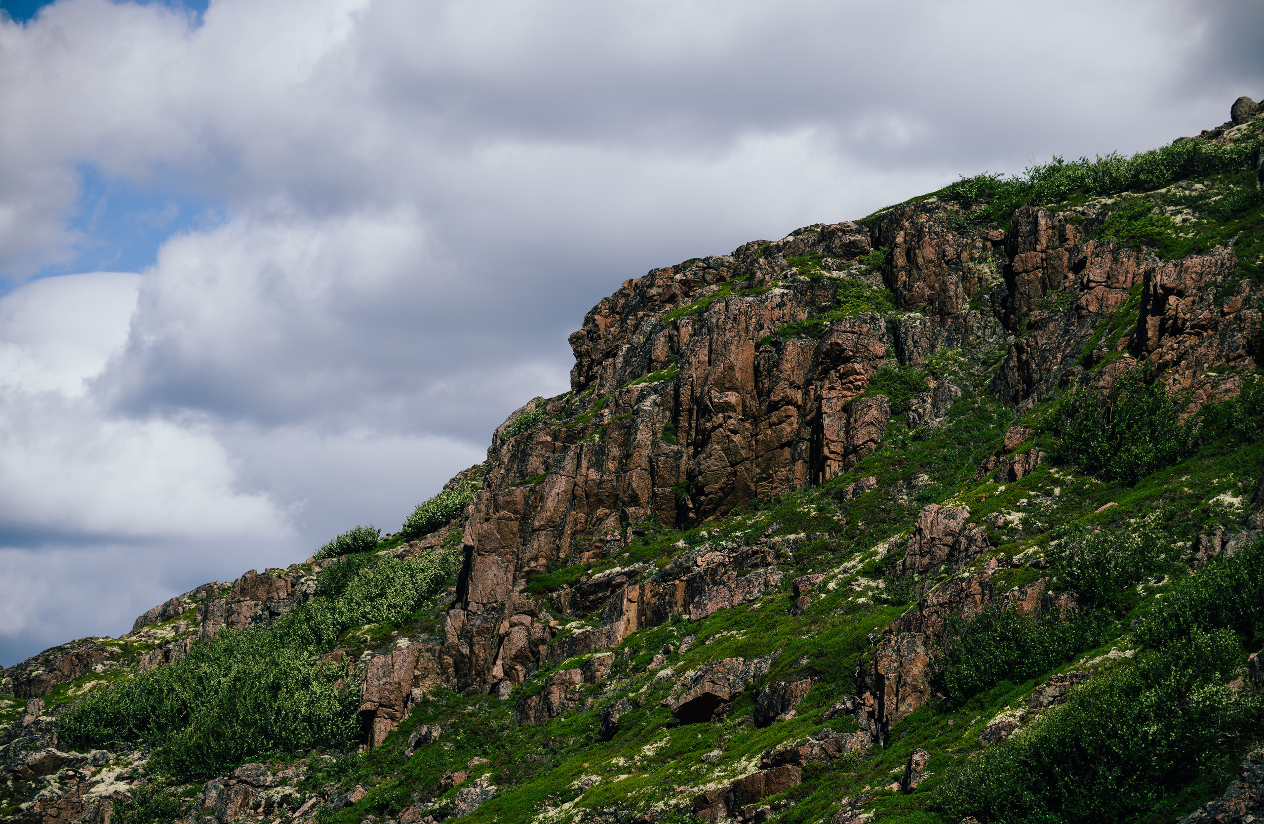 ТЕРИБЕРКА. Создание контента | Фото | Видеосъемка | Александр Ярков
