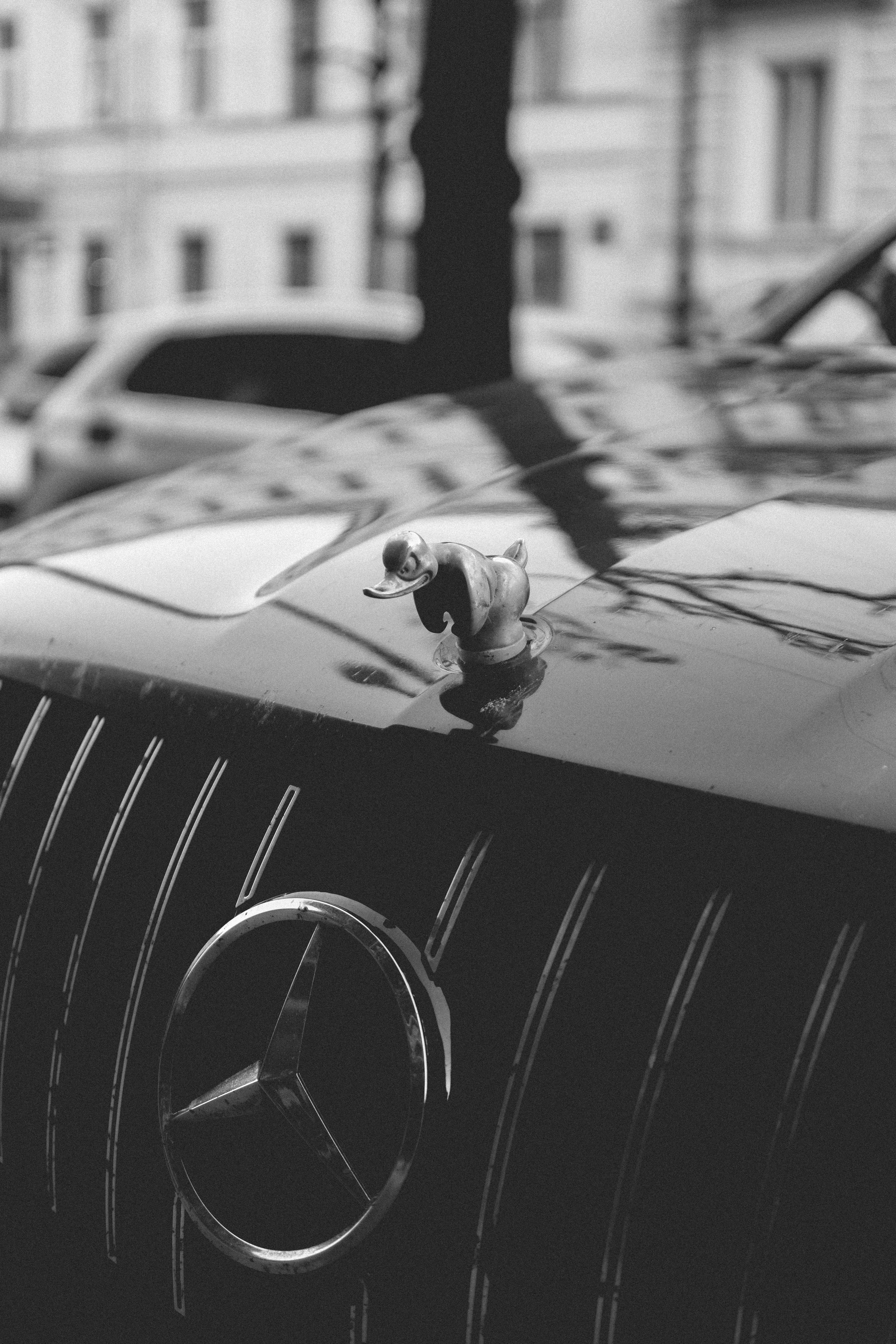 Под плёнку. Михаил Долганов