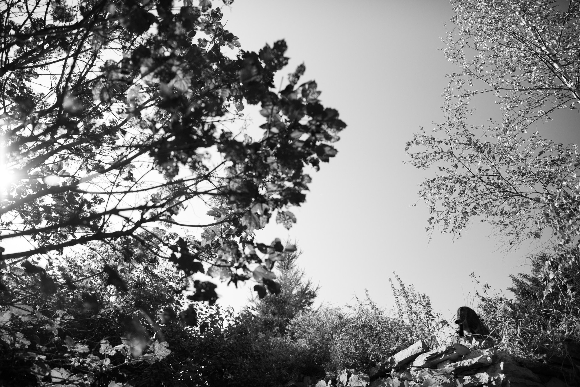 Свадьба Виталий и Мария. Творческий фотограф в Москве Наталья Ермолова