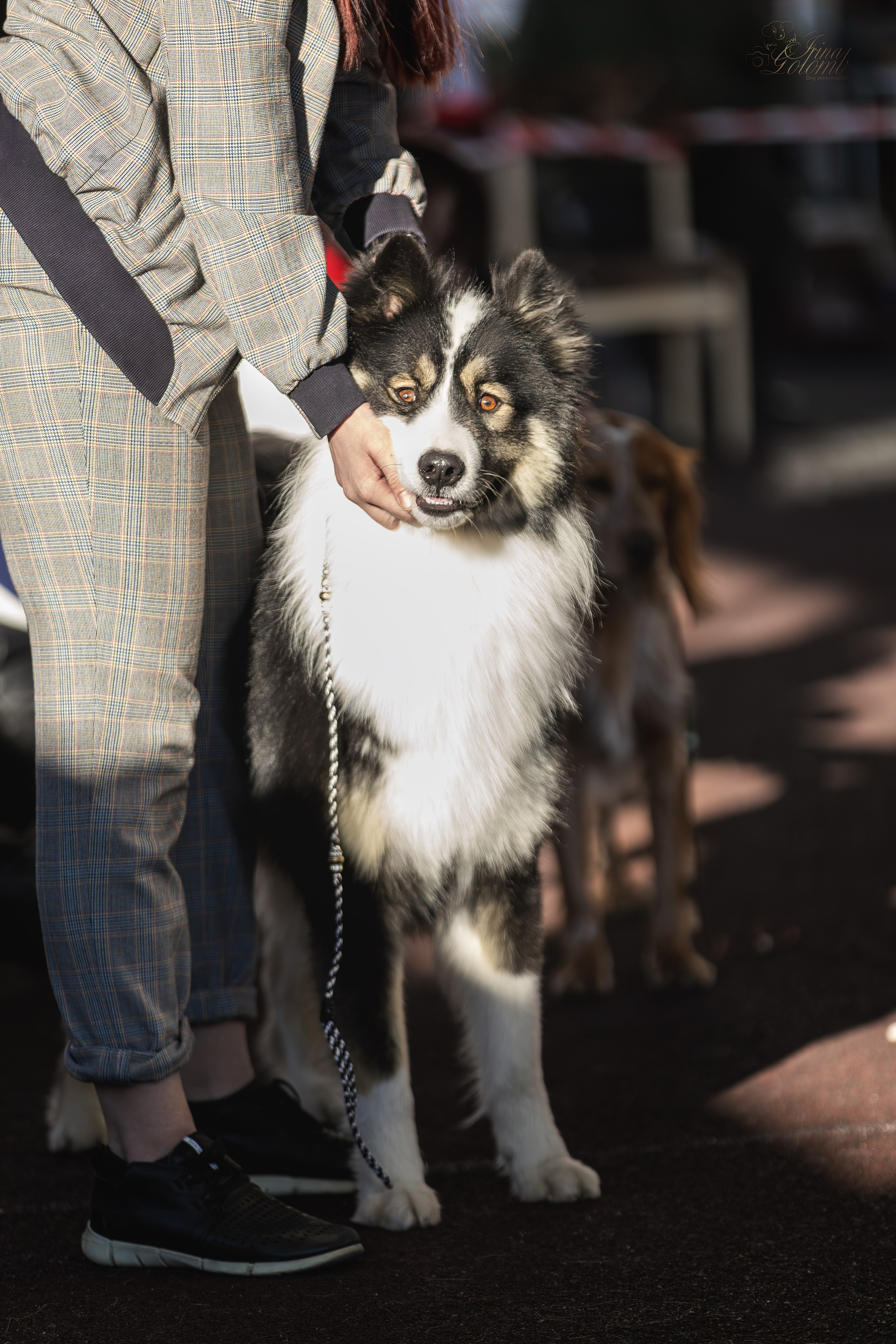 Выставка 25.02.2024. Ирина Голомб|Фотограф-анималист в  Сочи и Калининграде