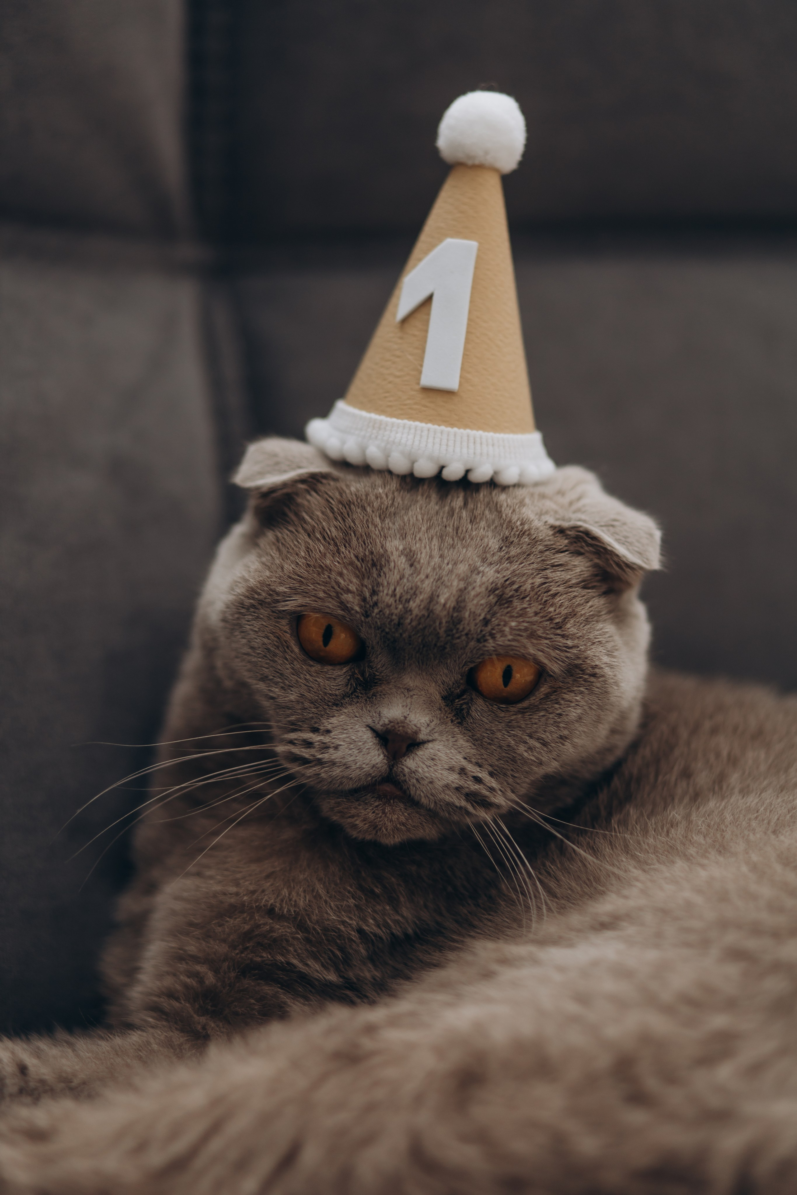 Варюше годик. Фотограф Новый Уренгой I Ньюборн I Фотограф материнства I ЯНАО