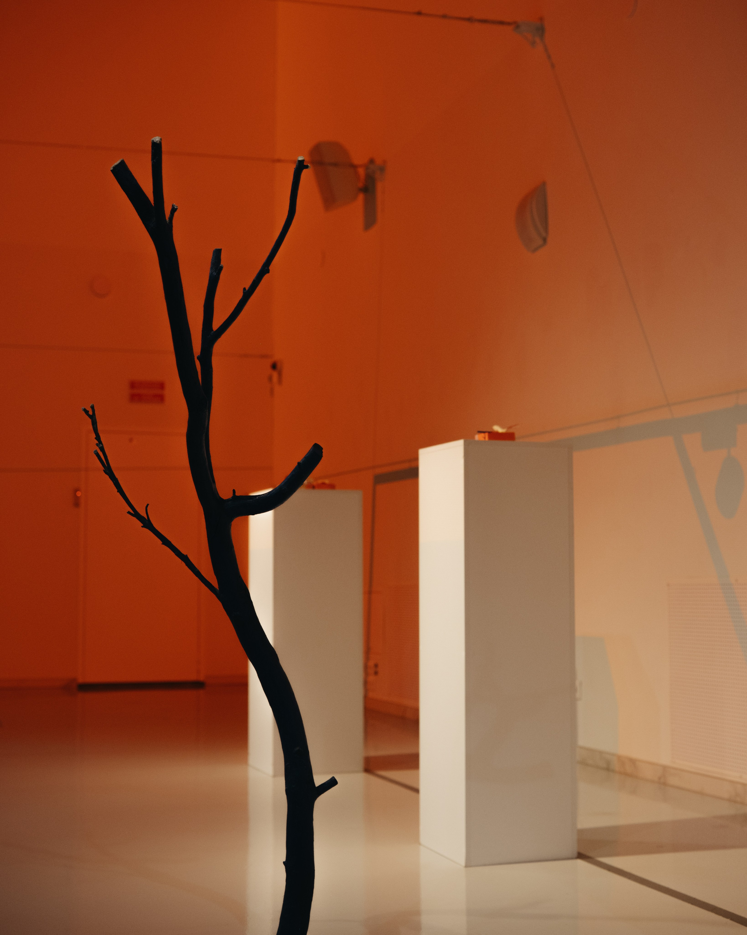 СЧАСТЬЕ & Альфия Sargin. Обо мне