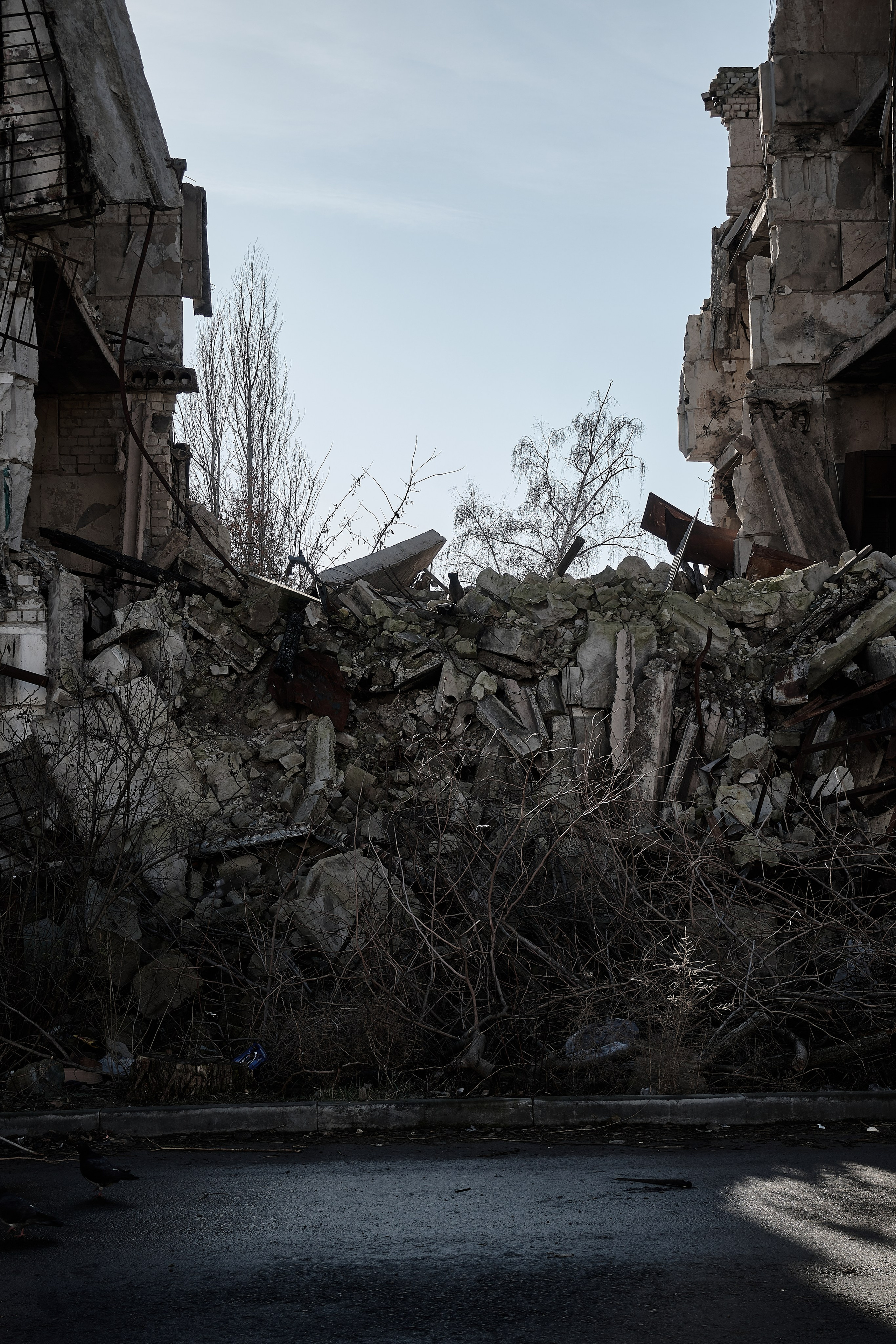 Будни съёмок фотопроекта Территории. Фотограф Роман Адлер