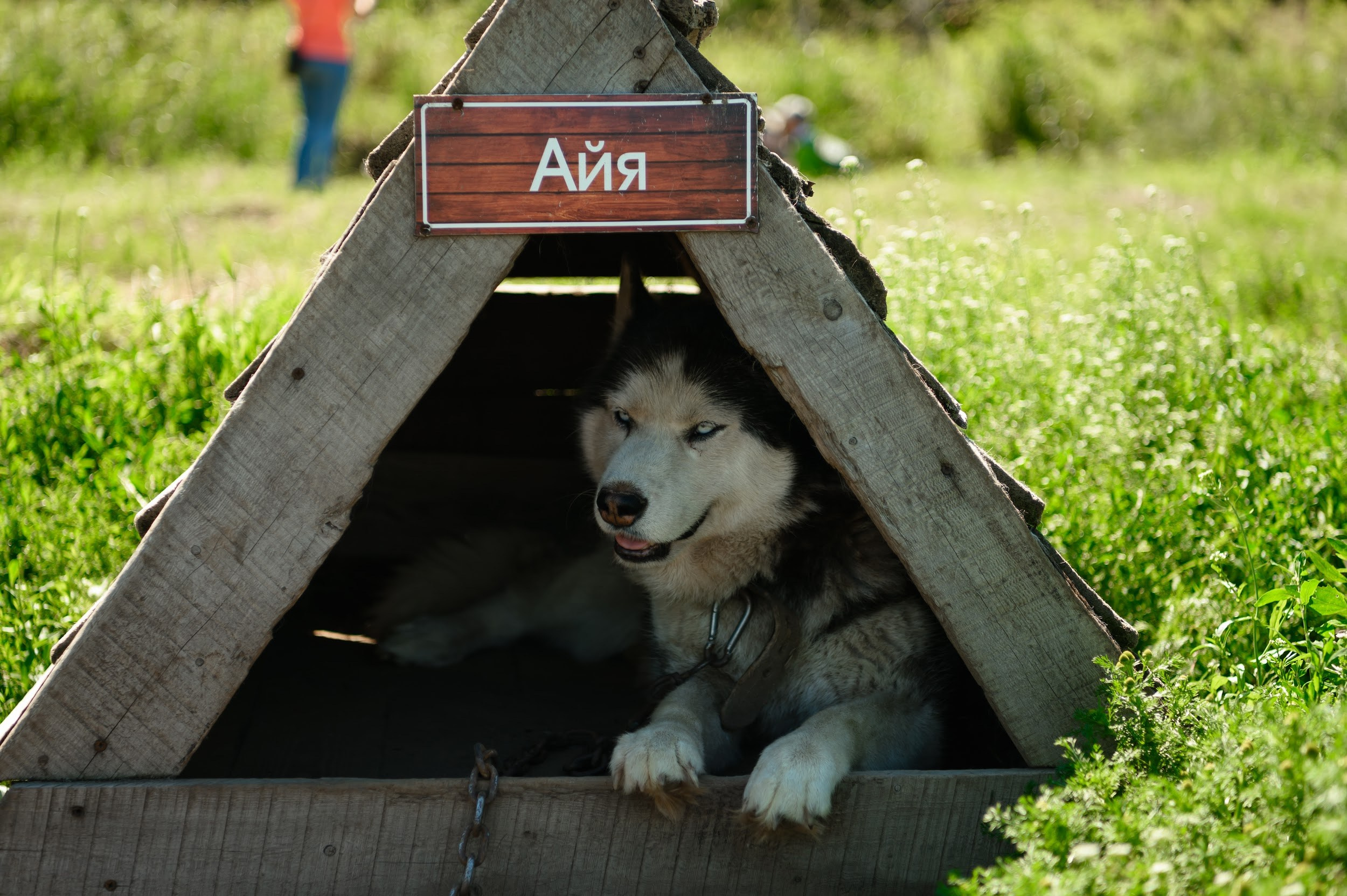 Камчатка 08.2024. Фотограф Марина Росси