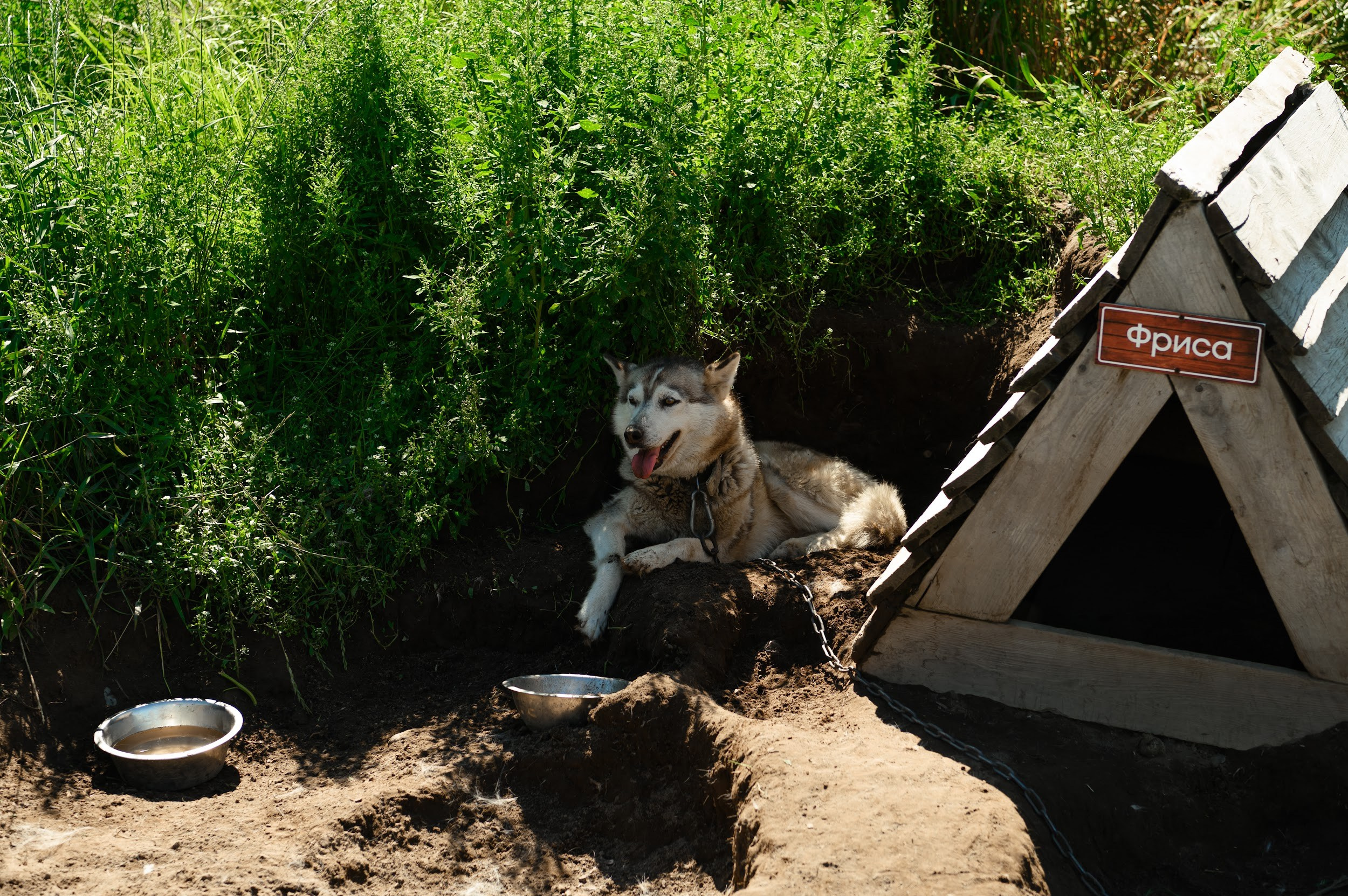 Камчатка 08.2024. Фотограф Марина Росси