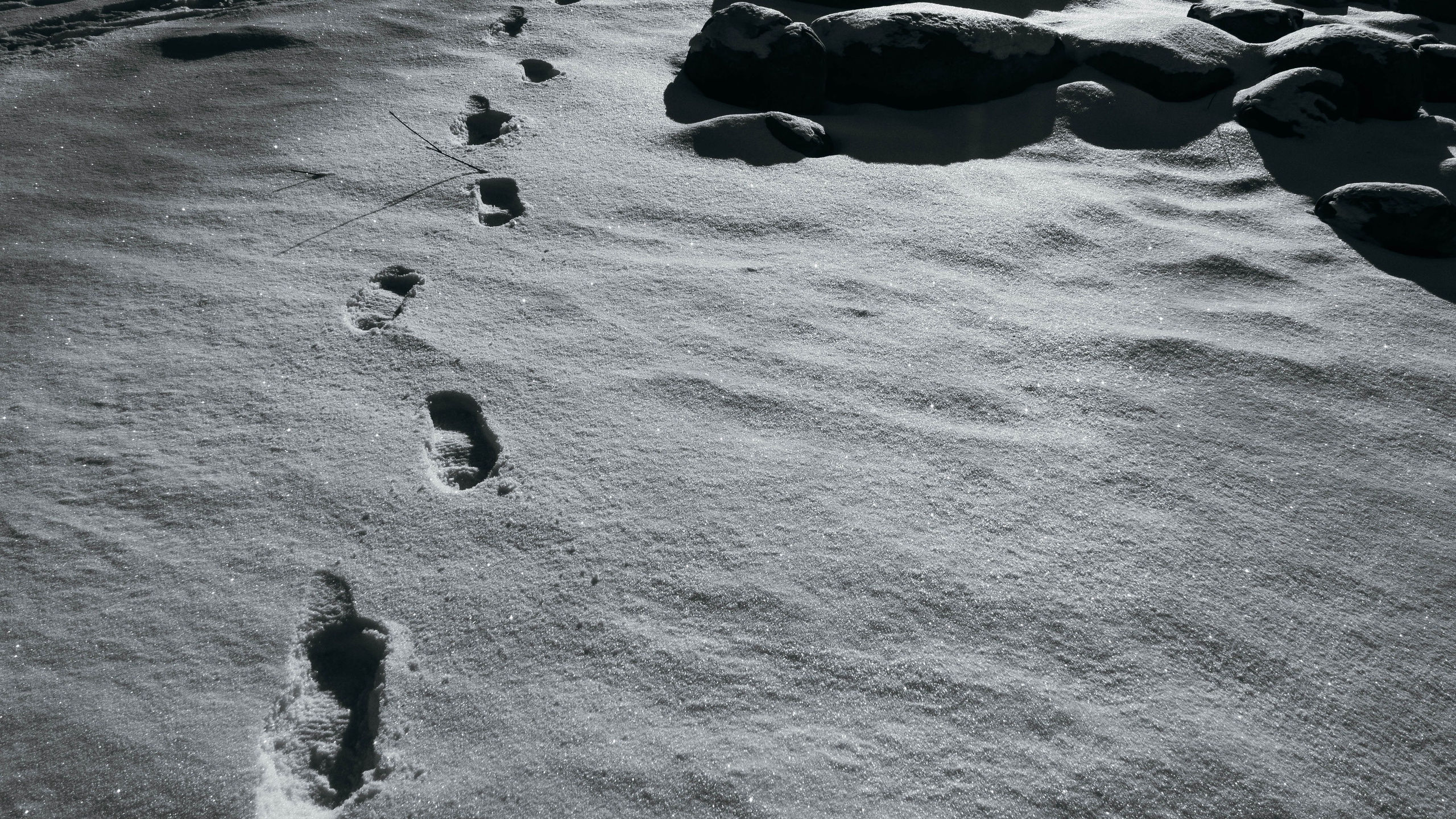 Путешествия. Anastasiia Kron