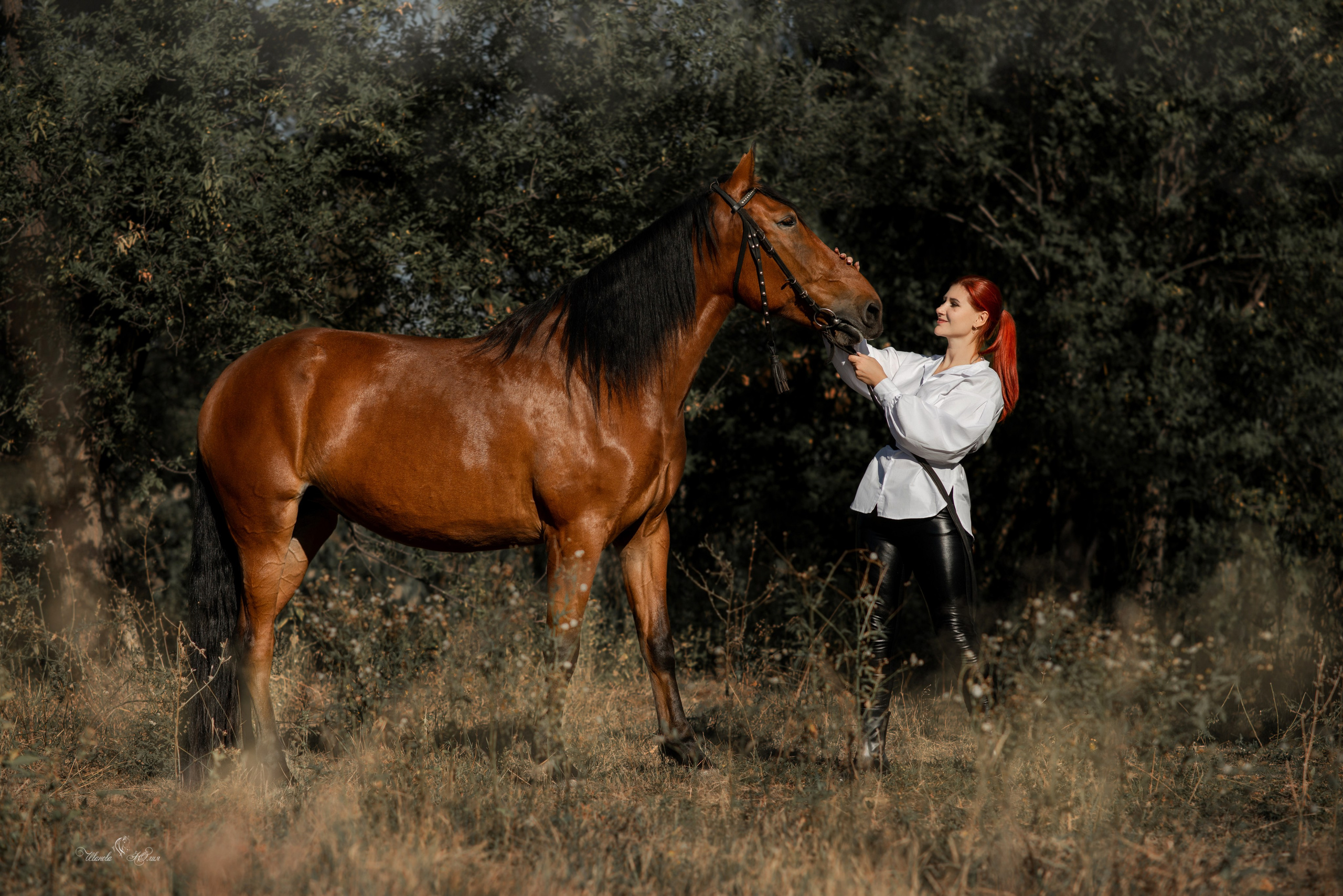 Мария и Ася. Конный фотограф в Саратове Юлия Иванова