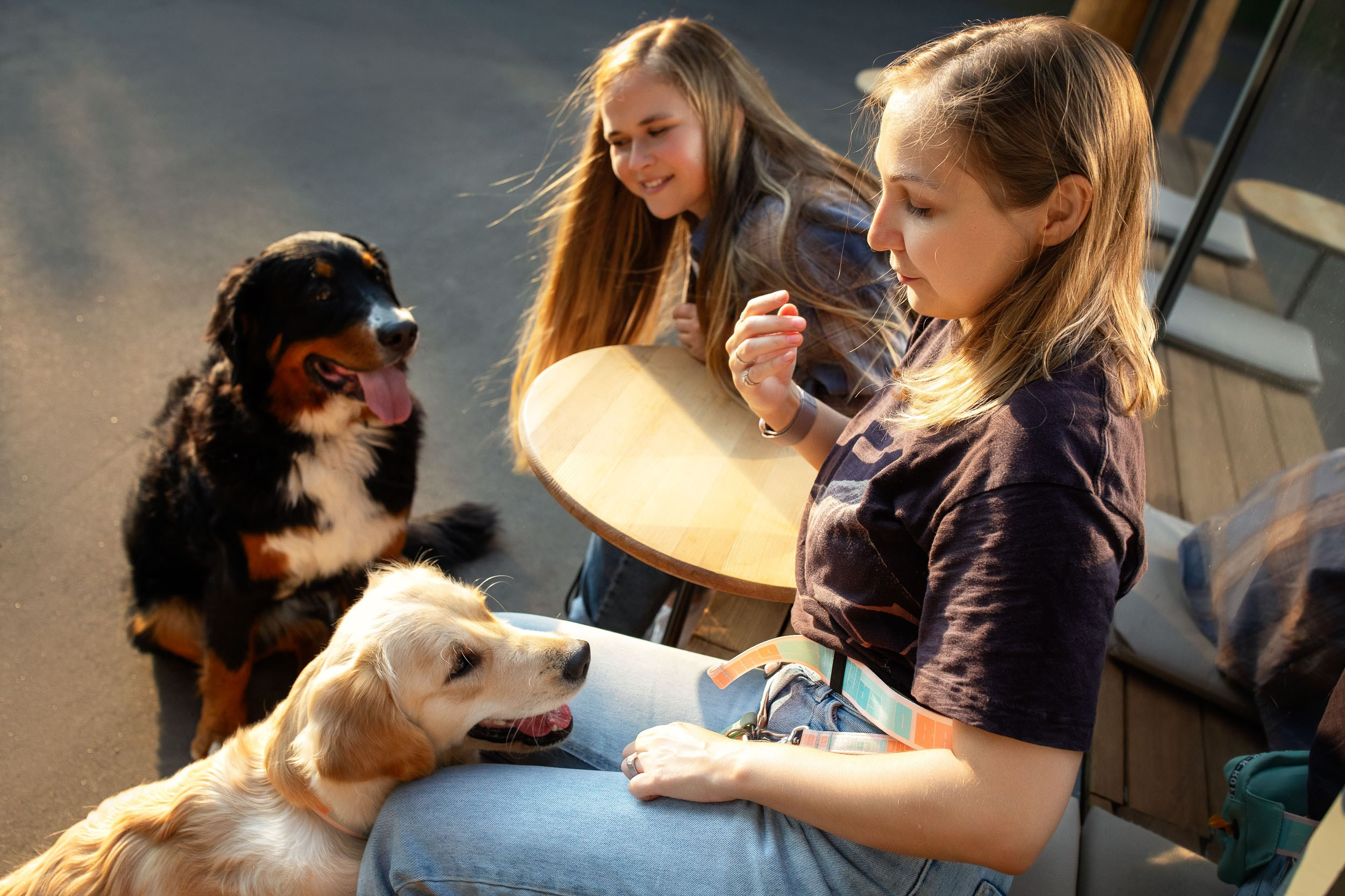 Фотопрогулка для четырех человек с собаками. Фотограф-анималист в Москве и Московской области Татьяна Фролова