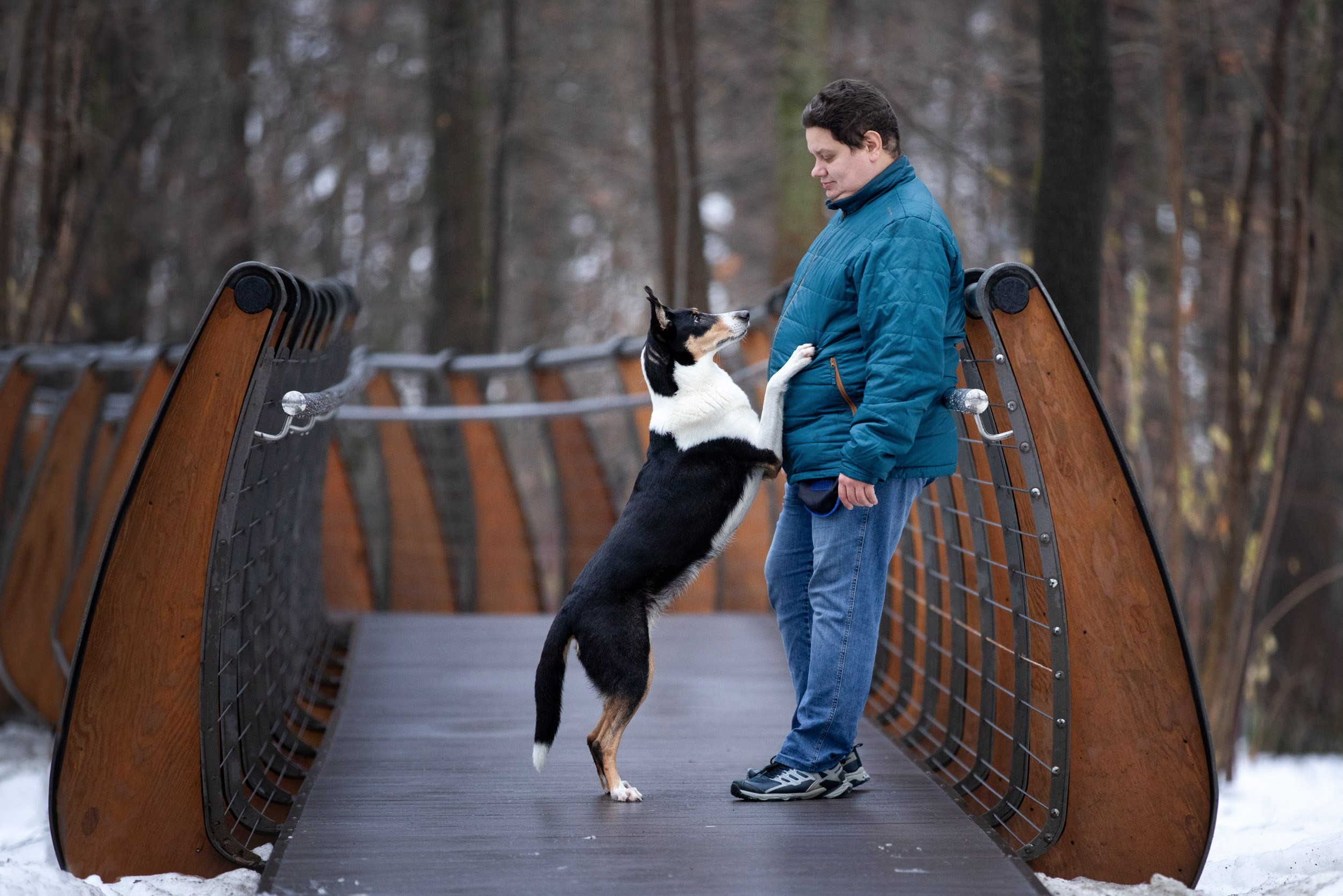 Фотопрогулка короткошерстной колли в Москве. Фотограф-анималист в Москве и Московской области Татьяна Фролова