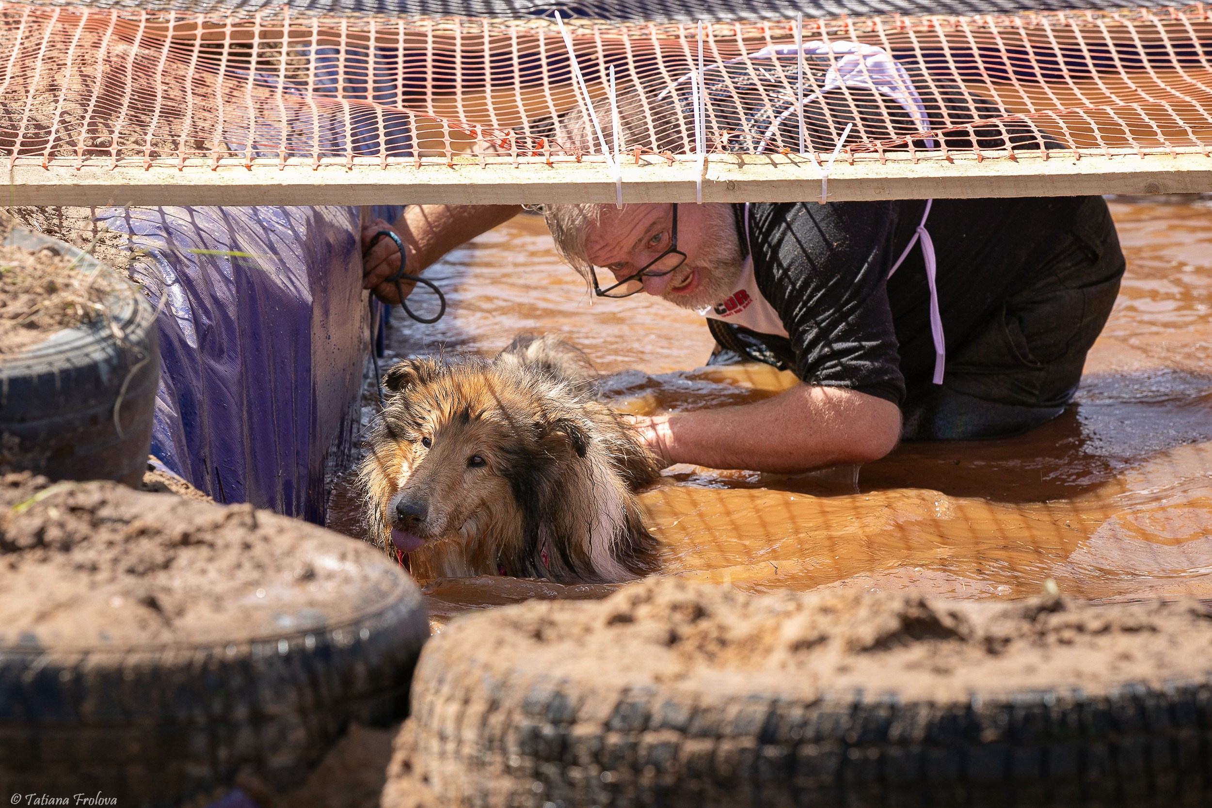 Фоторепортаж с забега с собаками. Фотограф-анималист в Москве и Московской области Татьяна Фролова