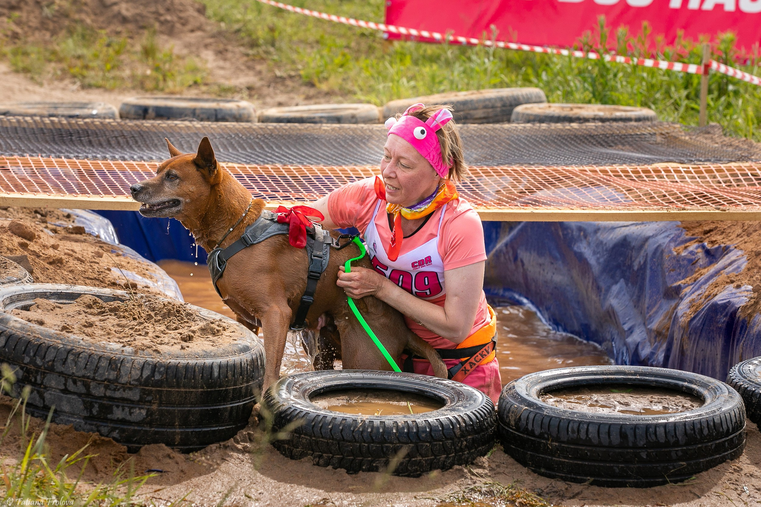 Фоторепортаж с забега с собаками. Фотограф-анималист в Москве и Московской области Татьяна Фролова